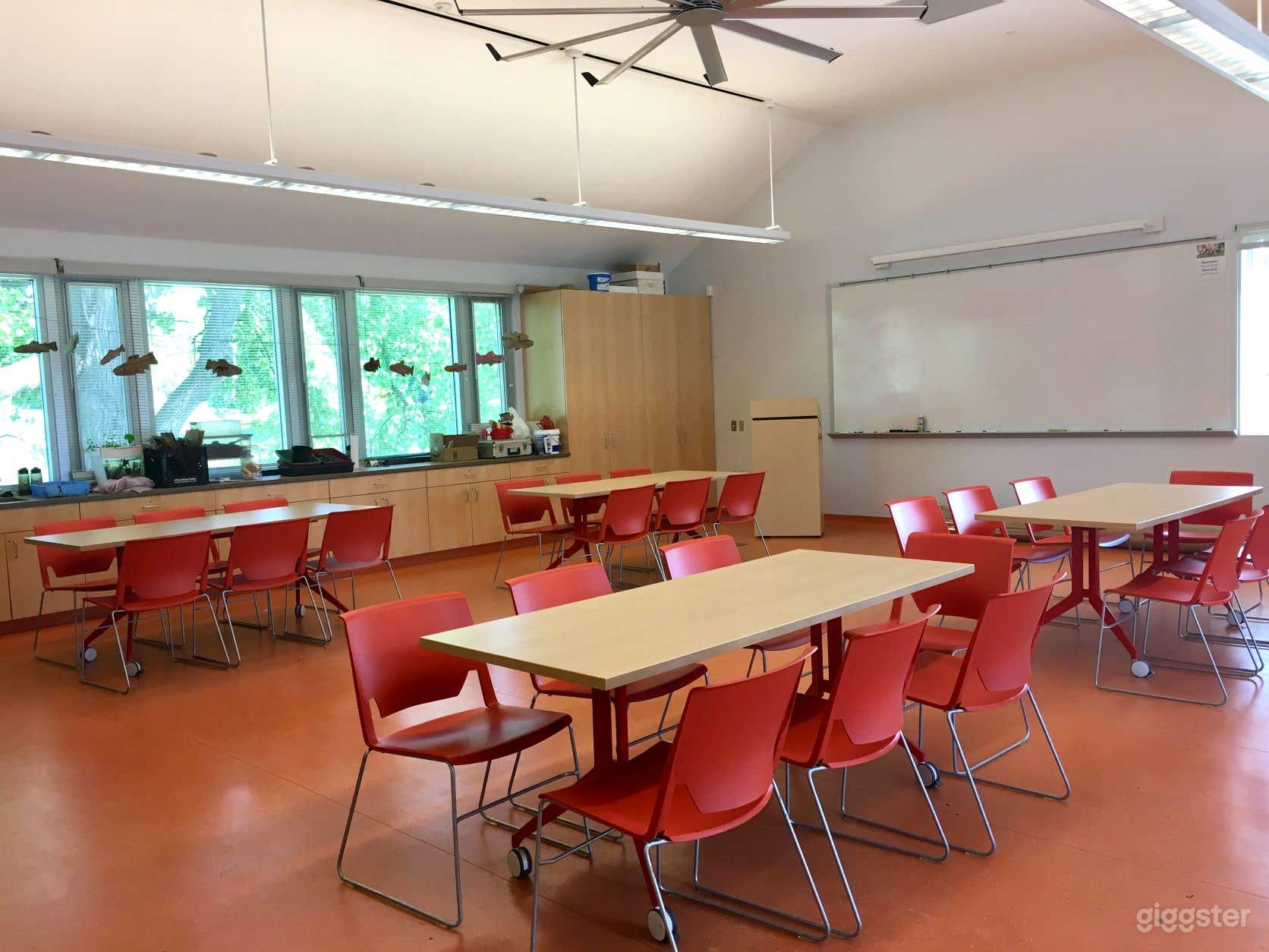 Windows, Counter and White Board