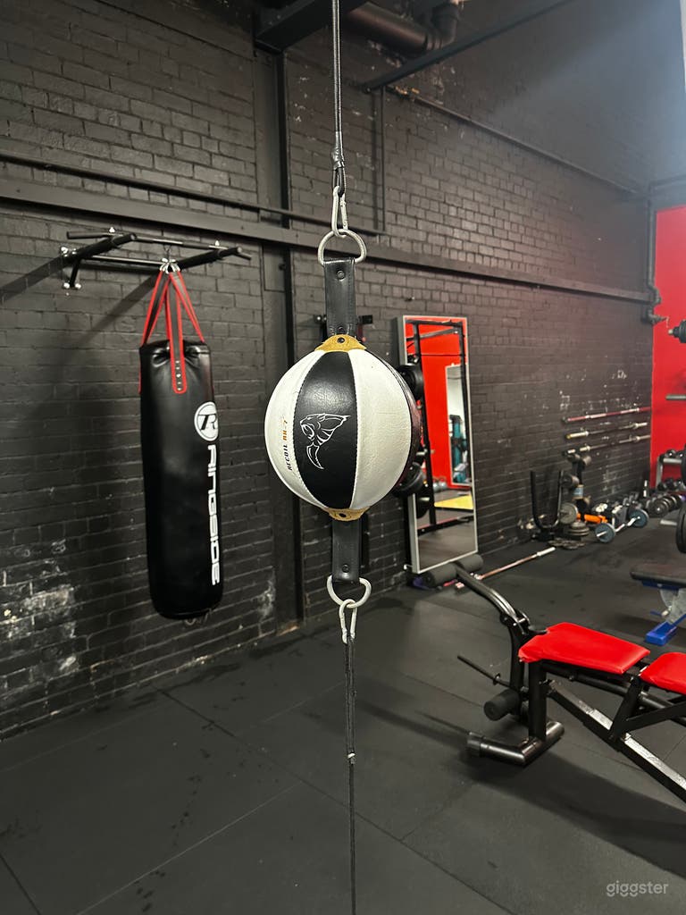  Floor to Ceiling Ball with black brick wall and punch bag in the background 