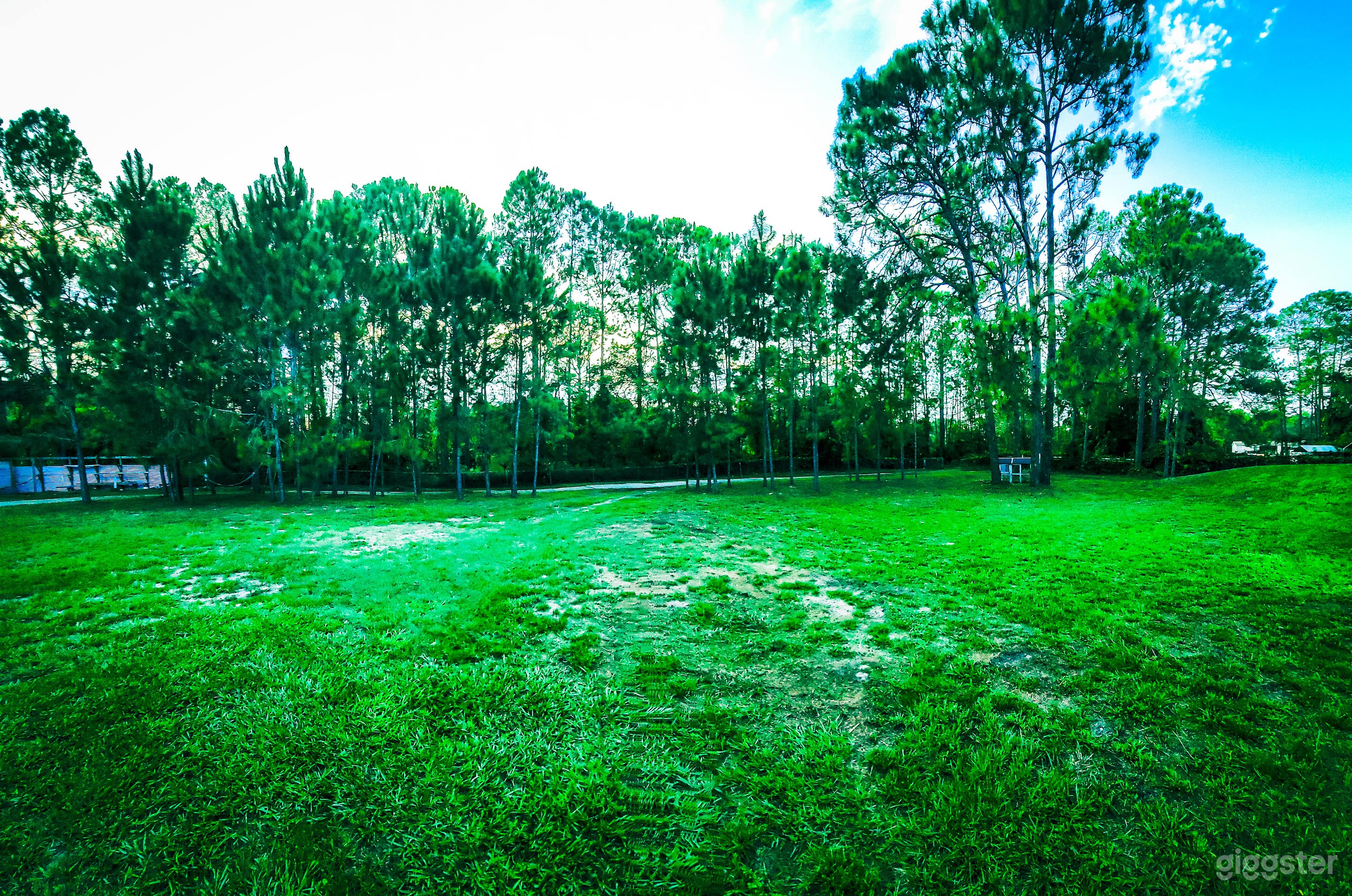 ENTIRE HOUSE INSIDE A FOREST AND PRIVATE Photo 2