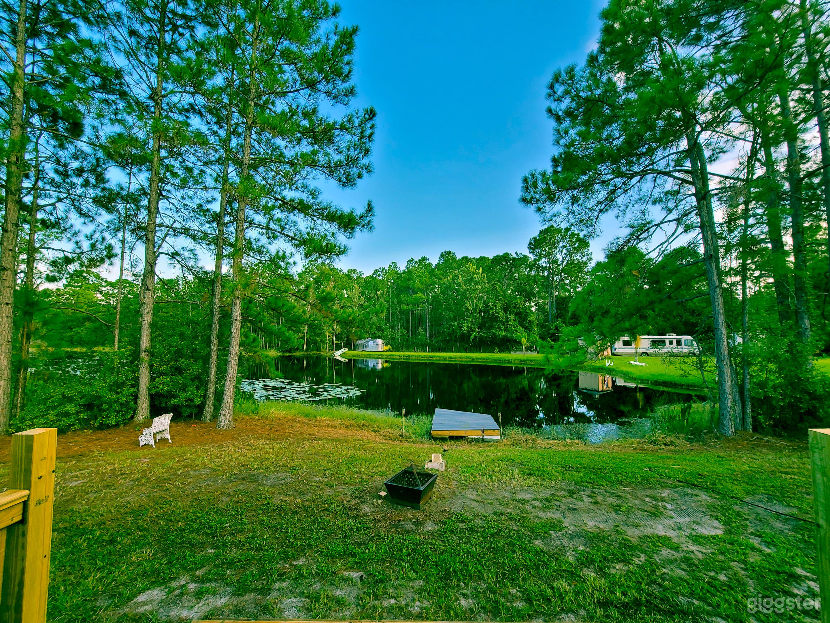 ENTIRE HOUSE INSIDE A FOREST AND PRIVATE Photo 3