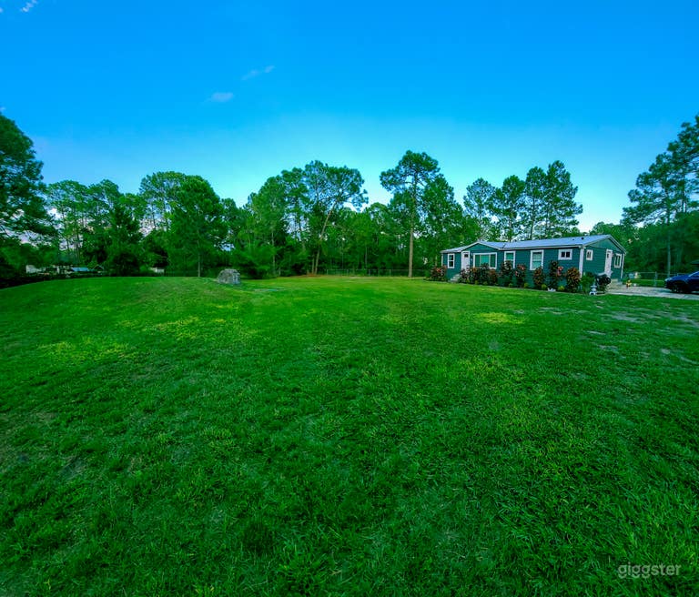  ENTIRE HOUSE INSIDE A FOREST AND PRIVATE 