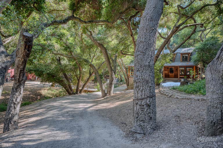  Kelly Gulch Cabin - Hollywood's Favorite Log Cabin 