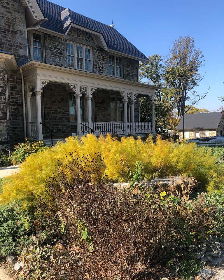  Front Porch with Plantings 