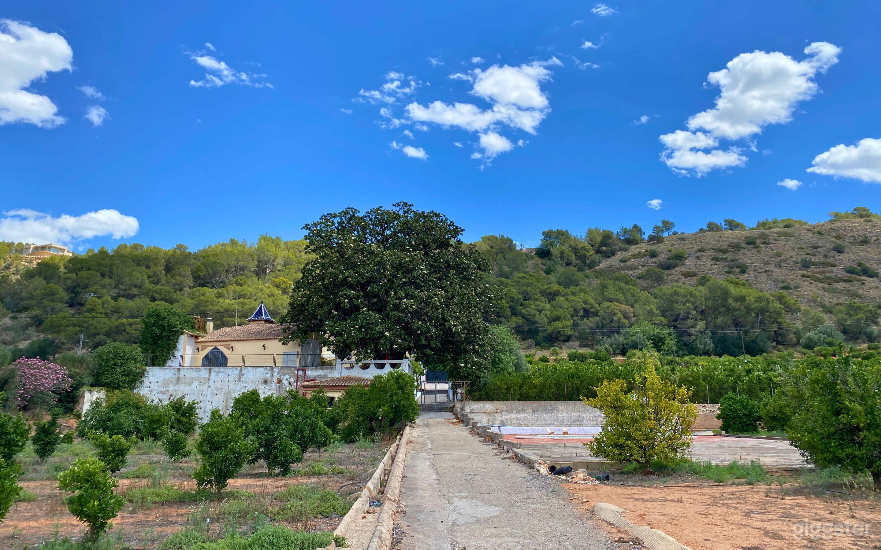 Modernist Farmhouse with Garden & Pool Photo 3