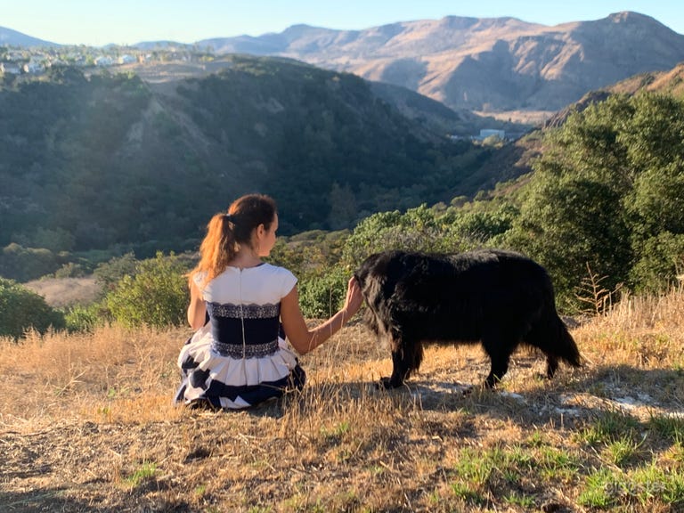  Interested in a more natural setting?  The property has nearly 1/2 acre of wild brush and large interspersed trees (including lemon trees) for your shoots. 