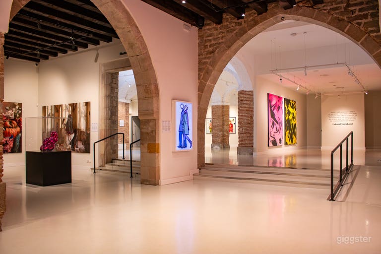  Barcelona Modern Art Museum for exclusive events 