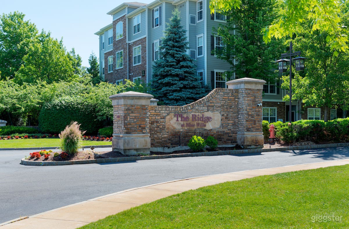 Elegant Theater Room in Braintree Photo 4