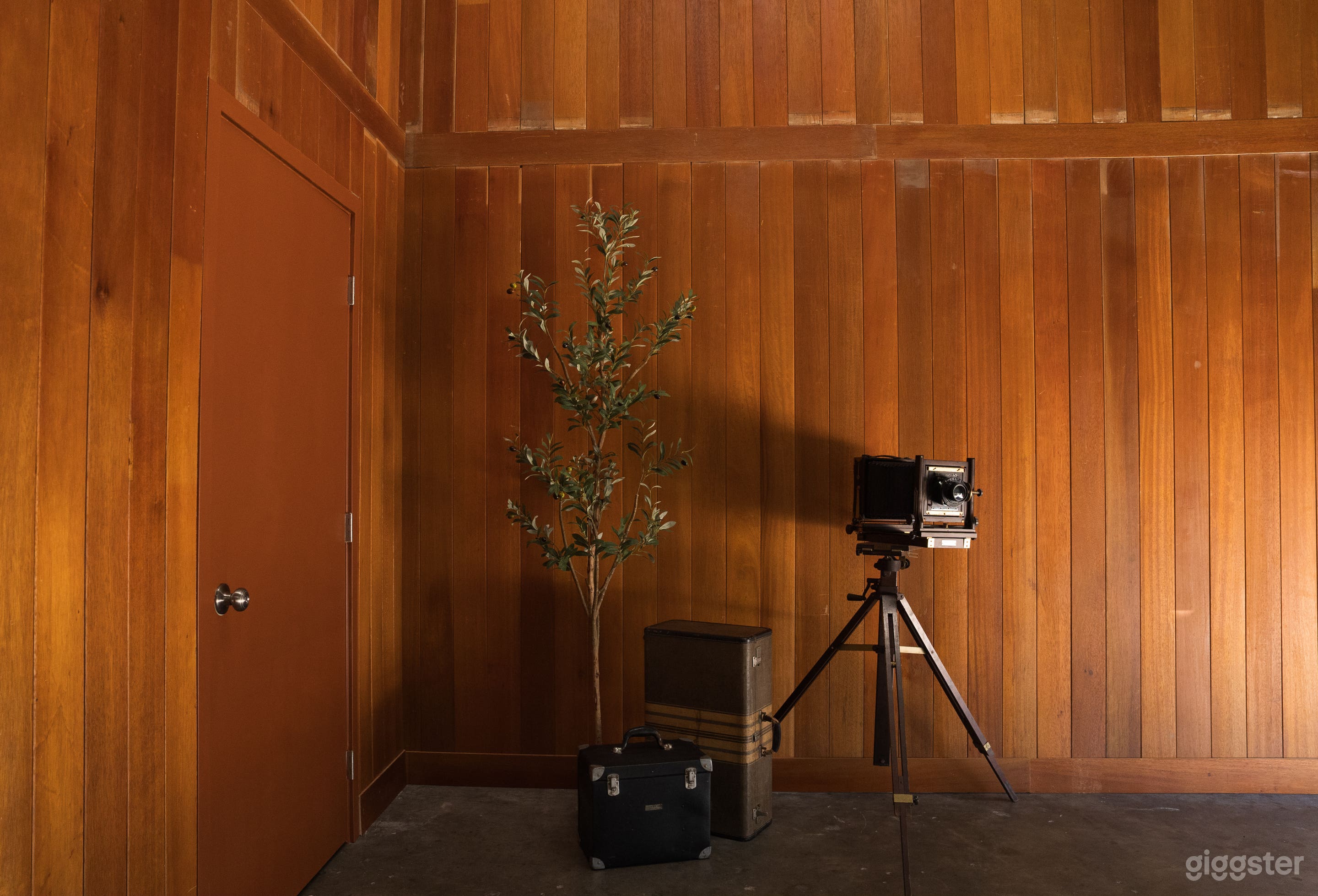 Painterly Vintage Studio Photo 3