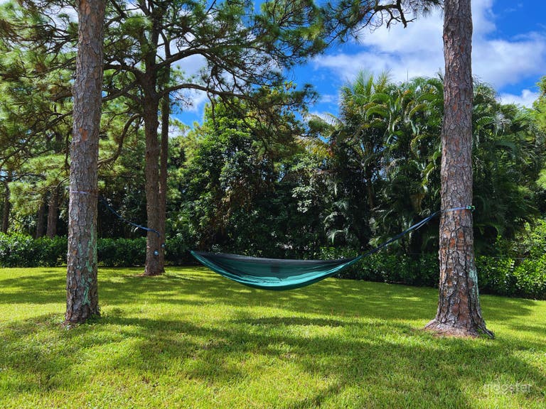  Backyard with hammock 