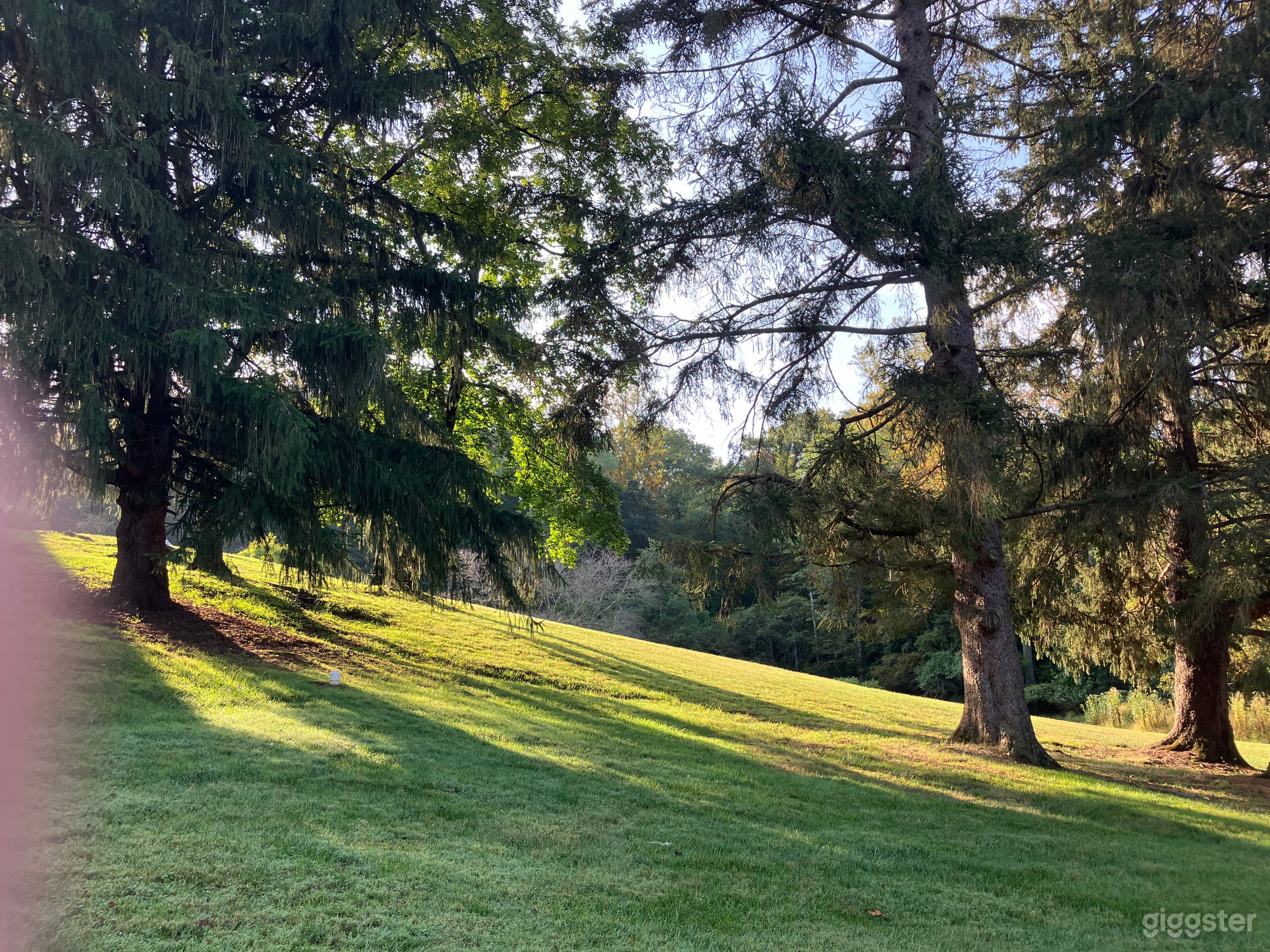 Graduation Hill extends from the porches of Old House down to the stream at the edge of the property. Large open expanses with trees on the edges.