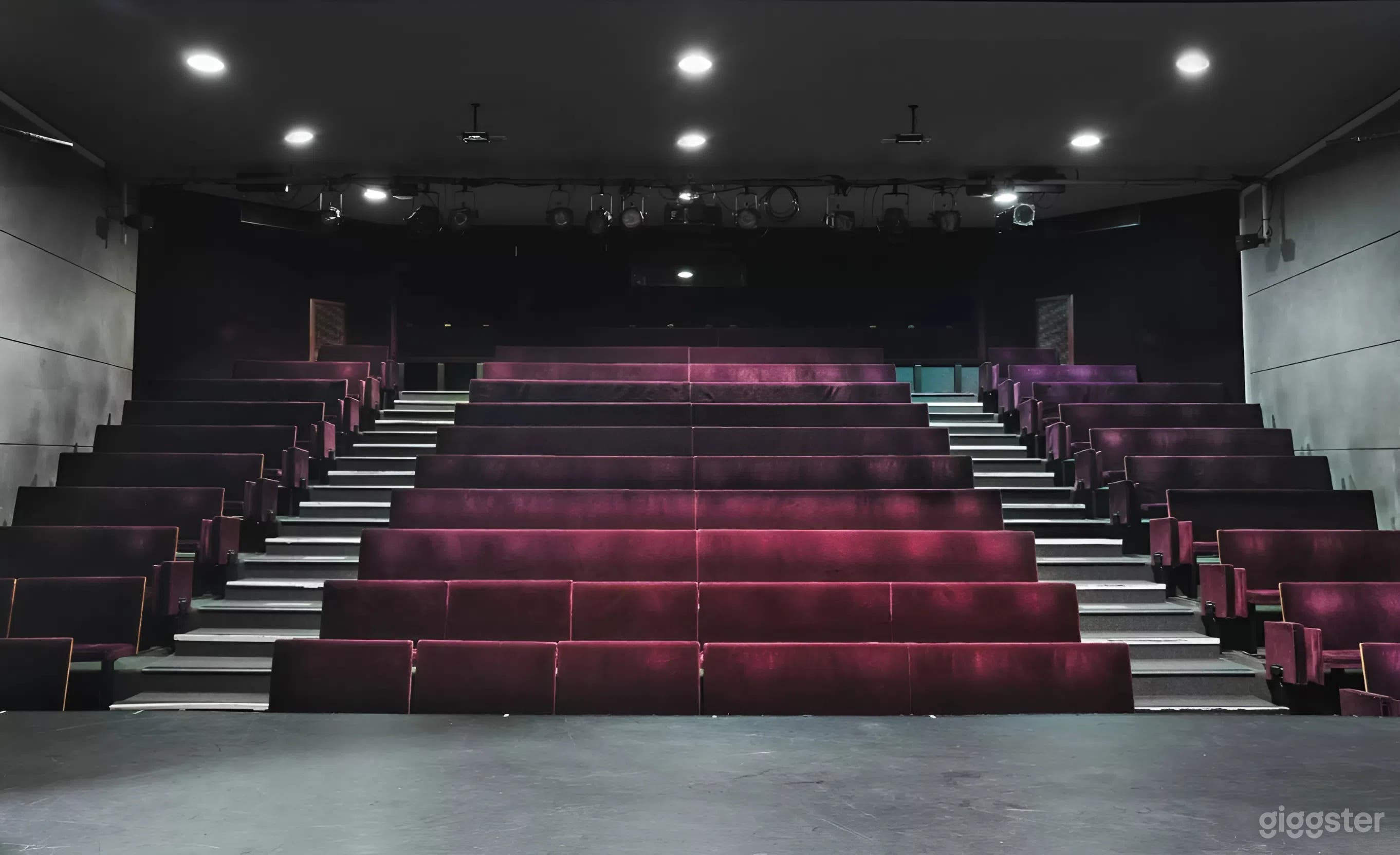 Photo de La Petite Salle - Capacité intime de 200 places 1