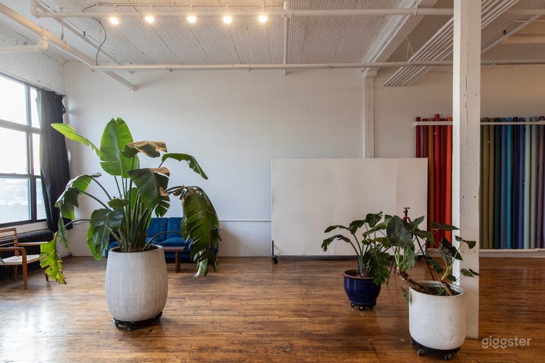  Huge 🌿Beautiful Vintage Loft Studio w/Plants 