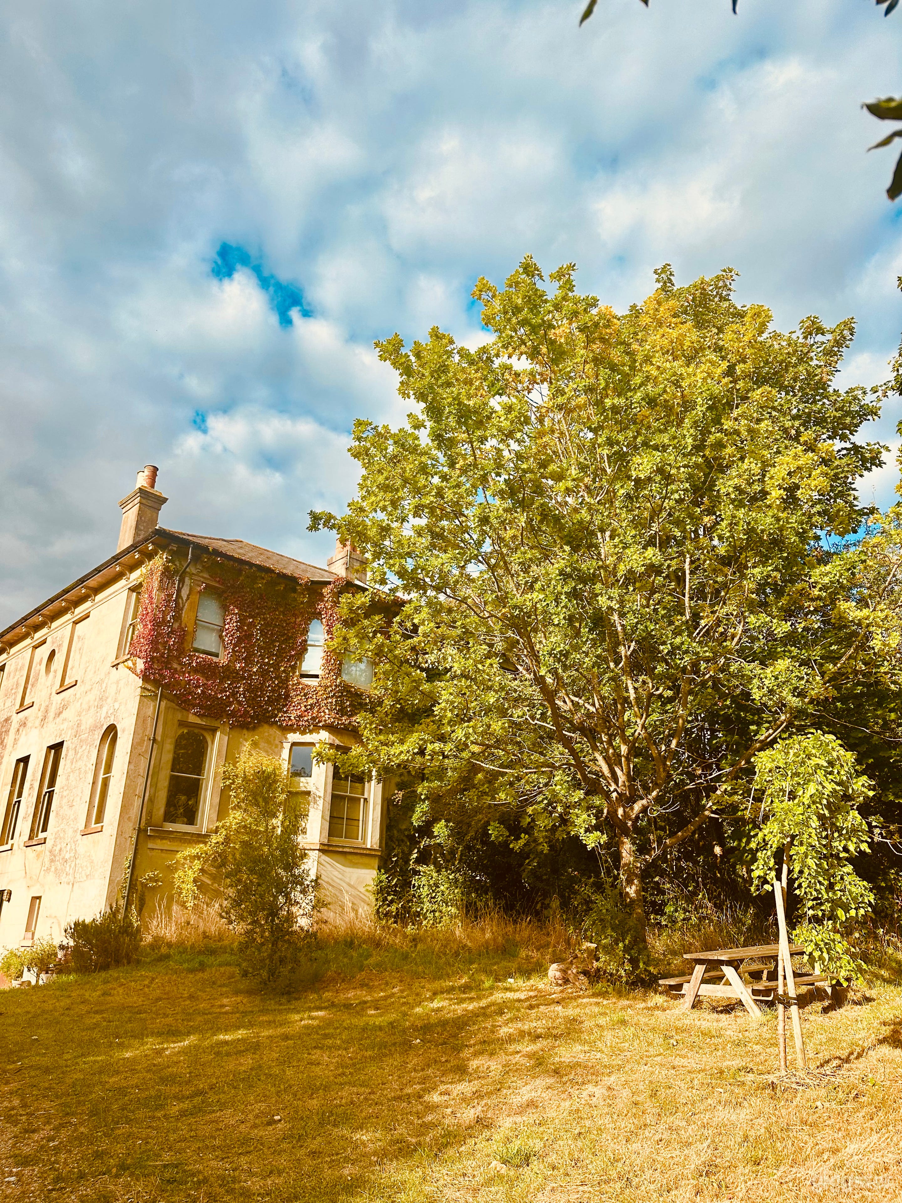 Victorian Villa, Brighton Photo 1