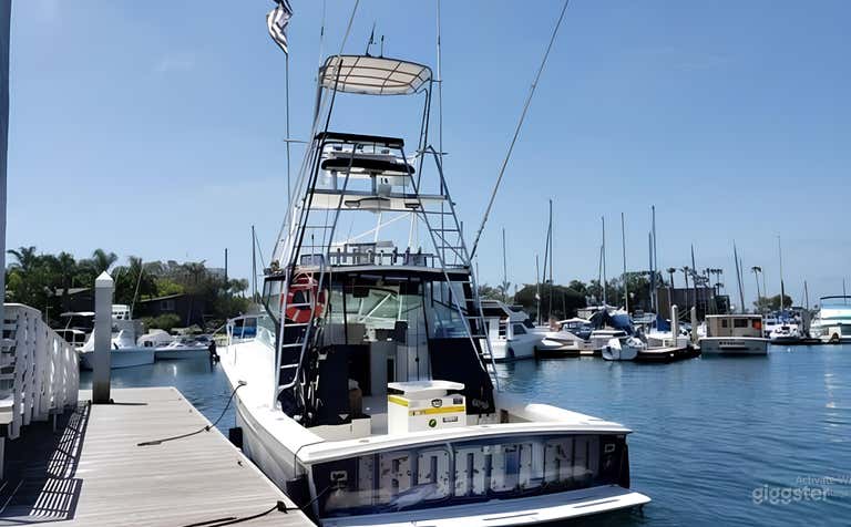   Ironclad 38' ft Topaz FISHING CHARTER 
