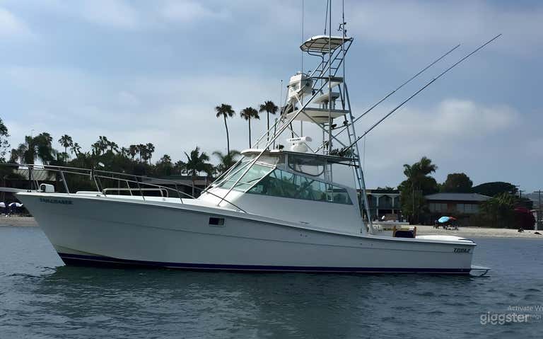   Ironclad 38' ft Topaz FISHING CHARTER 