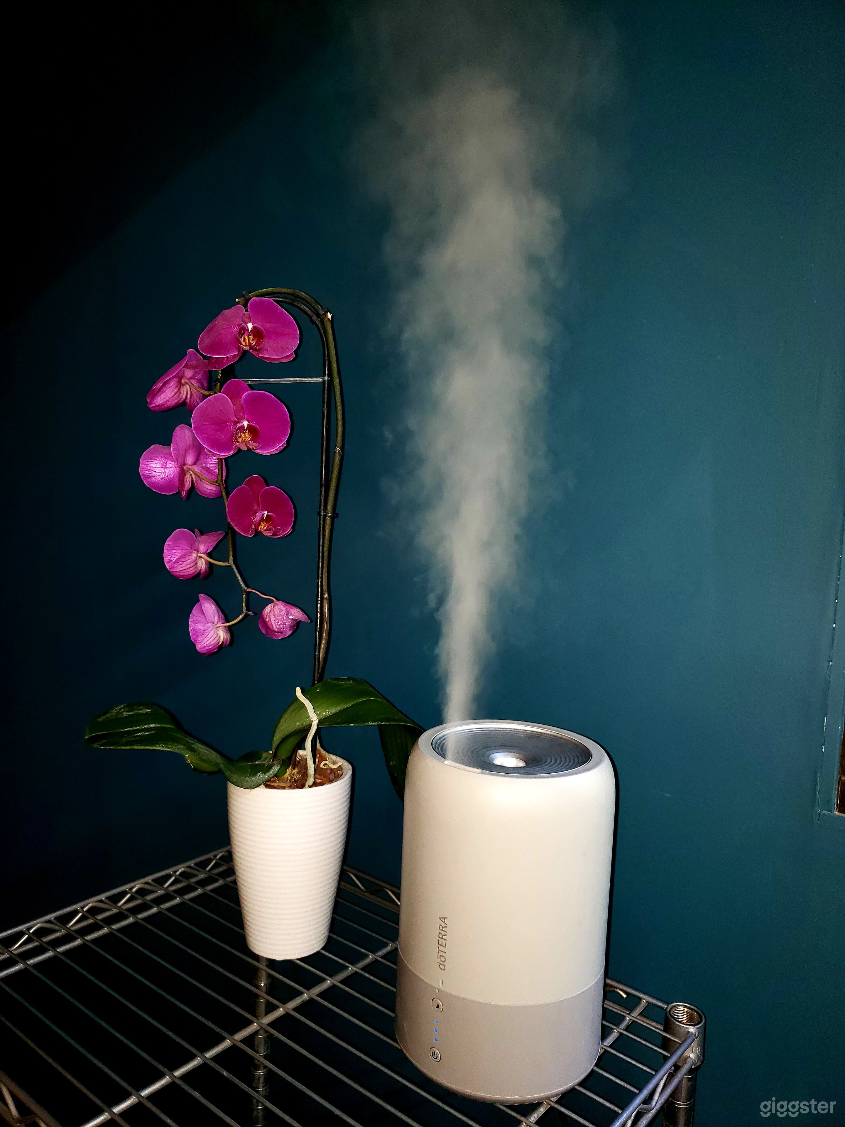 Aromatherapy Diffuser &amp; Fresh Flowers