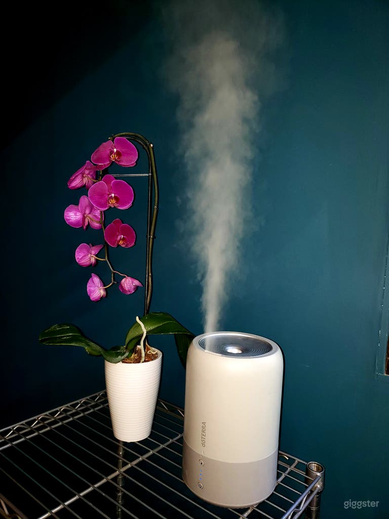  Aromatherapy Diffuser &amp; Fresh Flowers 