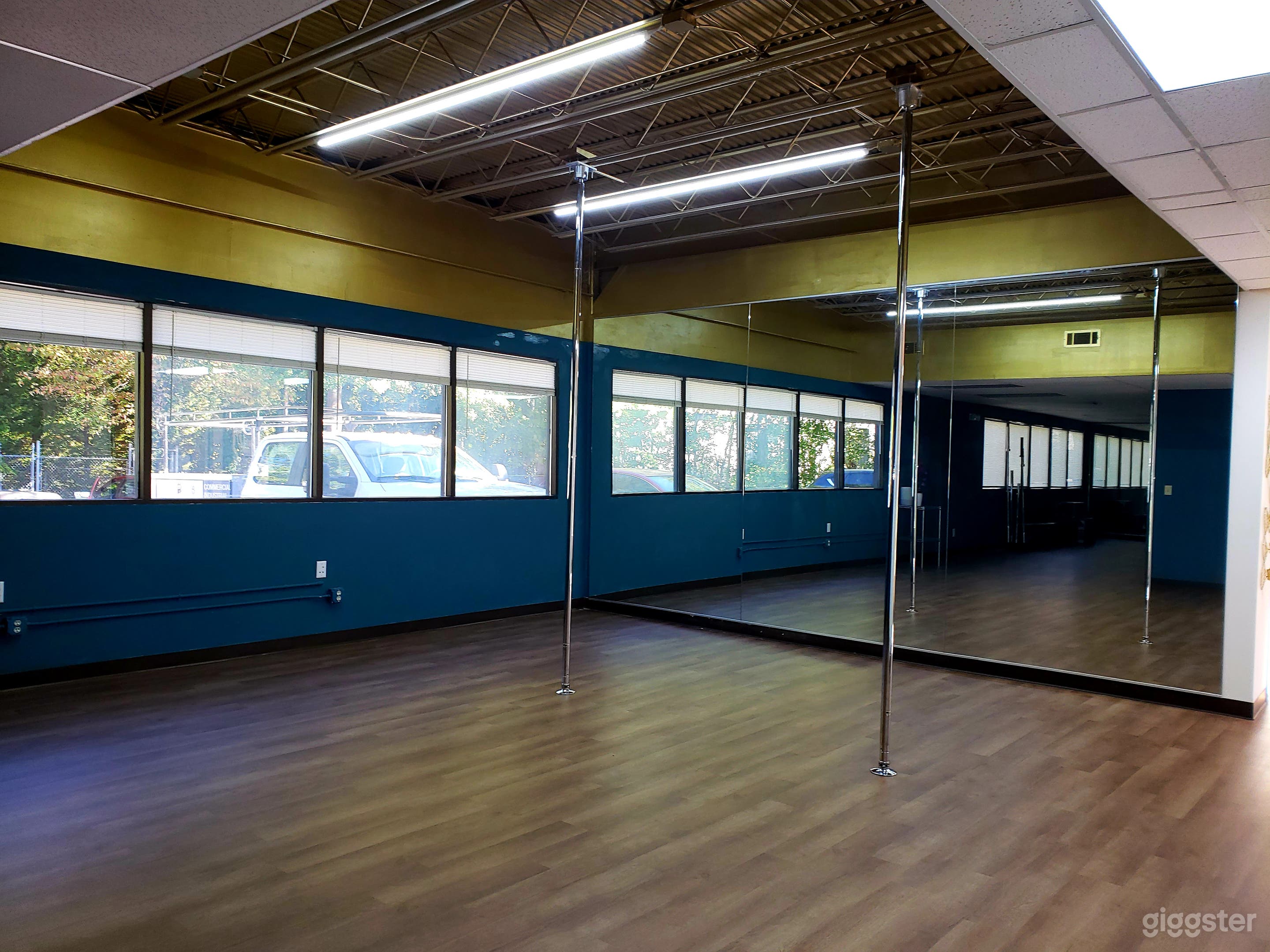 Pole/Dance Area