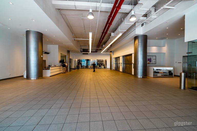  Manhattan Motorcars Inc. 