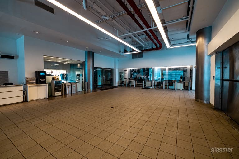  Manhattan Motorcars Inc. 