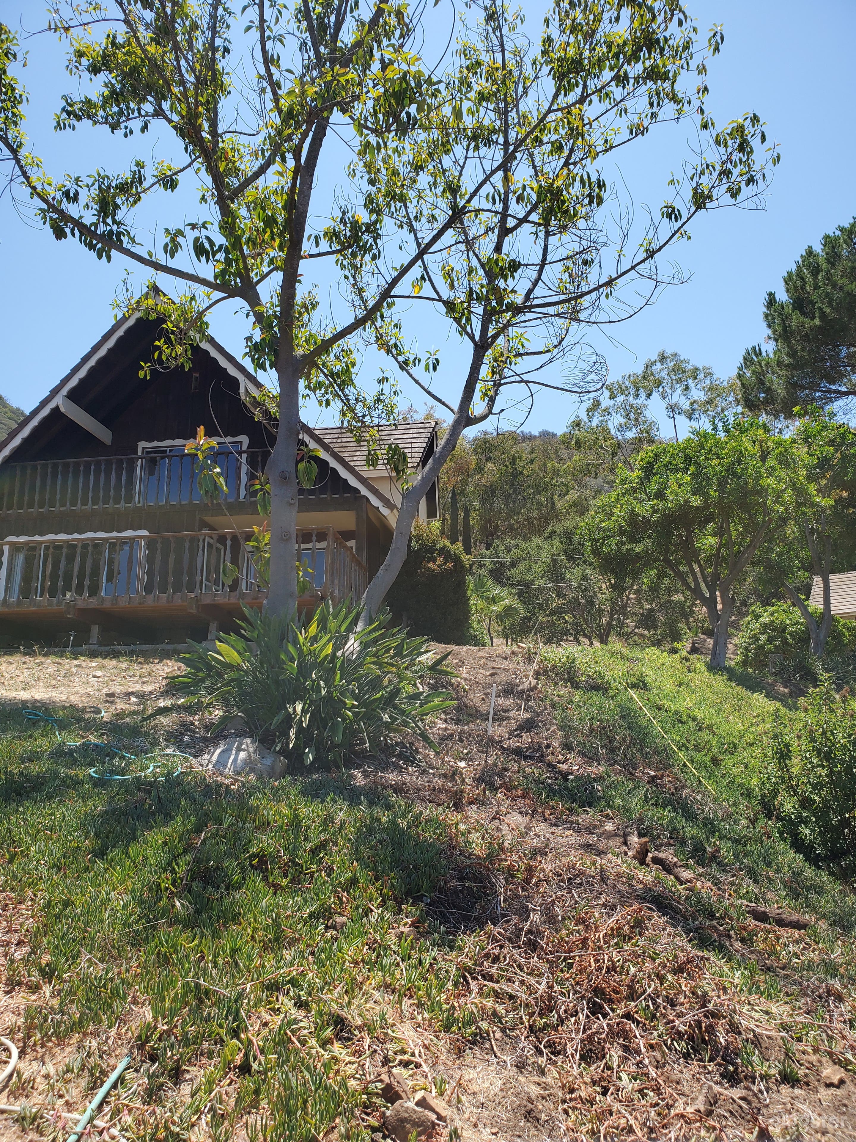 A Frame Main House

