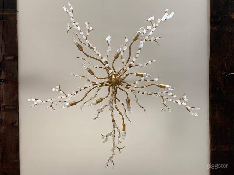  Chandelier in main studio space made with over 120 natural quartz crystals (dimmable) 