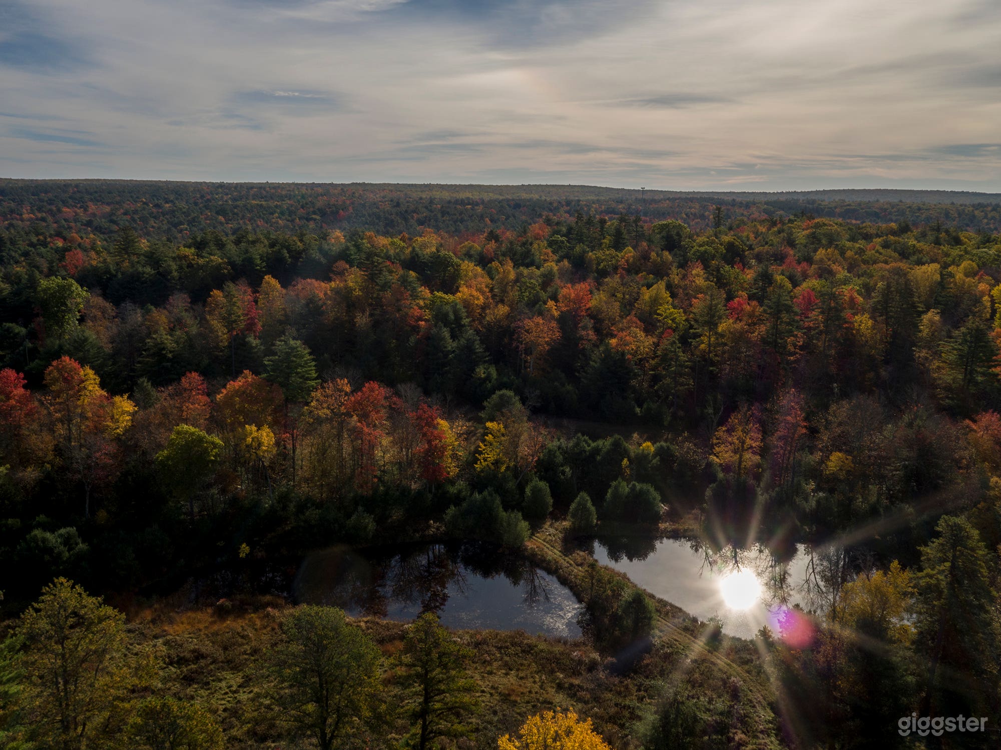 320 Acre Gorgeous Pastoral Retreat Photo 3