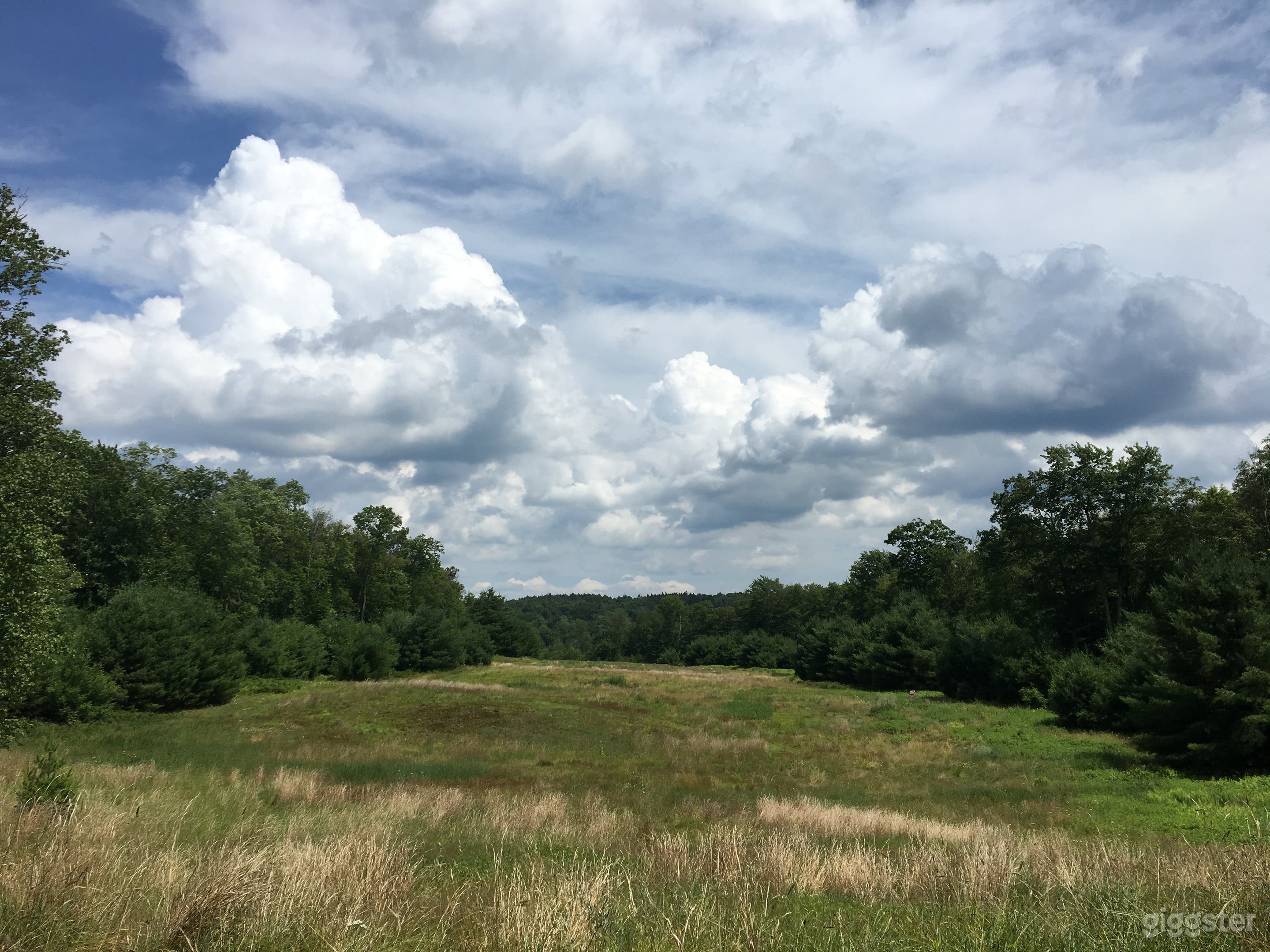320 Acre Gorgeous Pastoral Retreat Photo 4