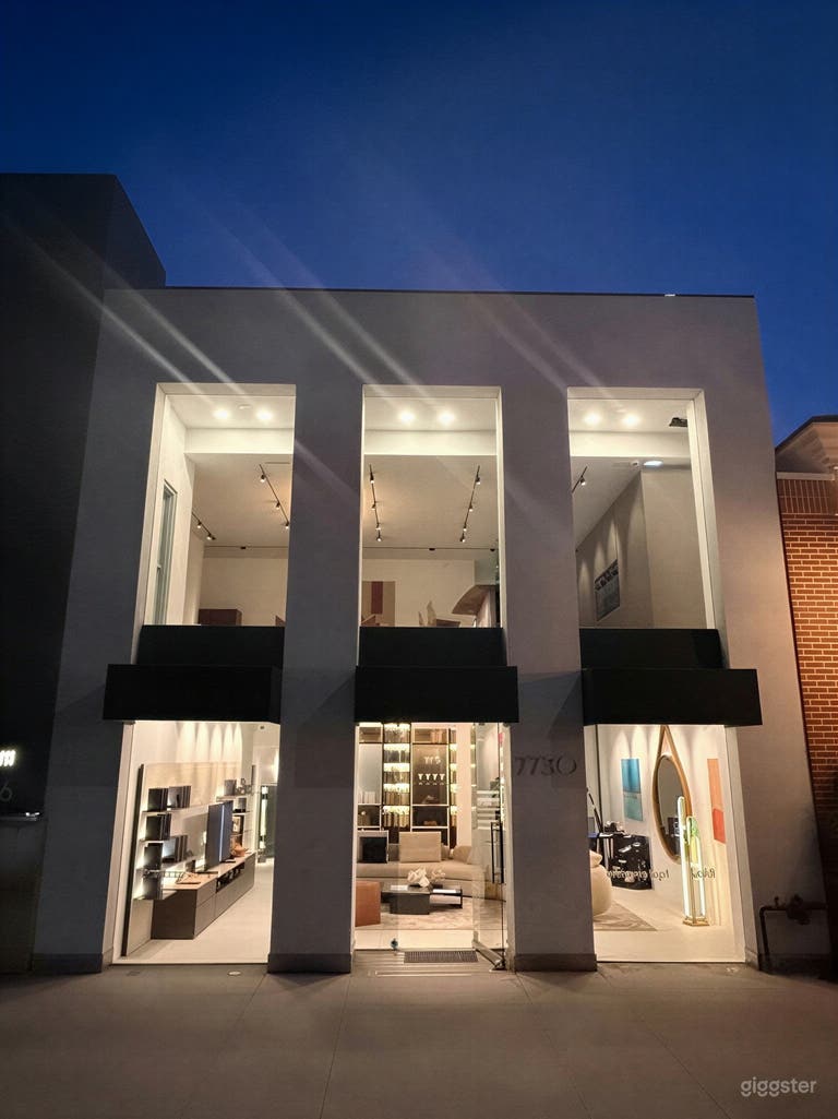  Luxury Modern Contemporary Design Showroom 