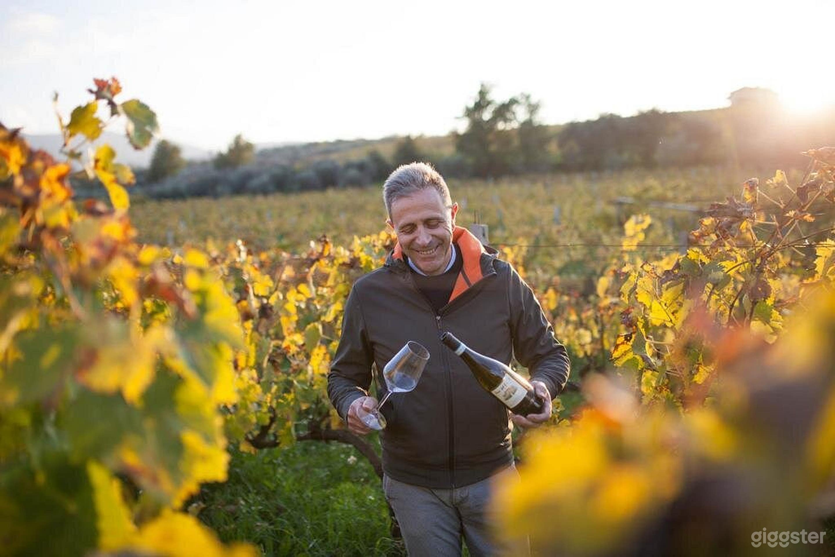 Foto di Location con sala degustazione cantina e vigneto 3