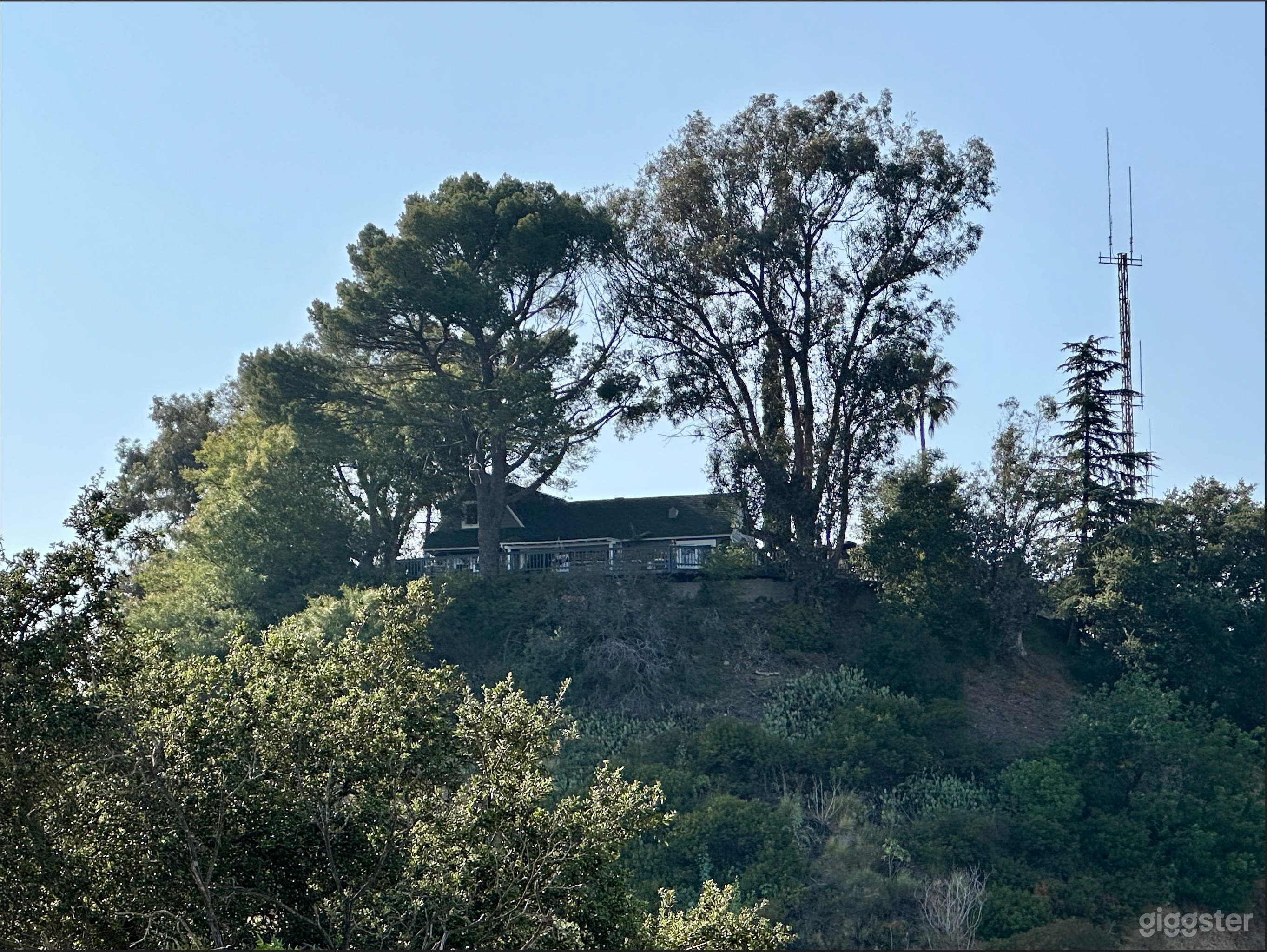 360 degree Laurel Canyon Birdhouse
