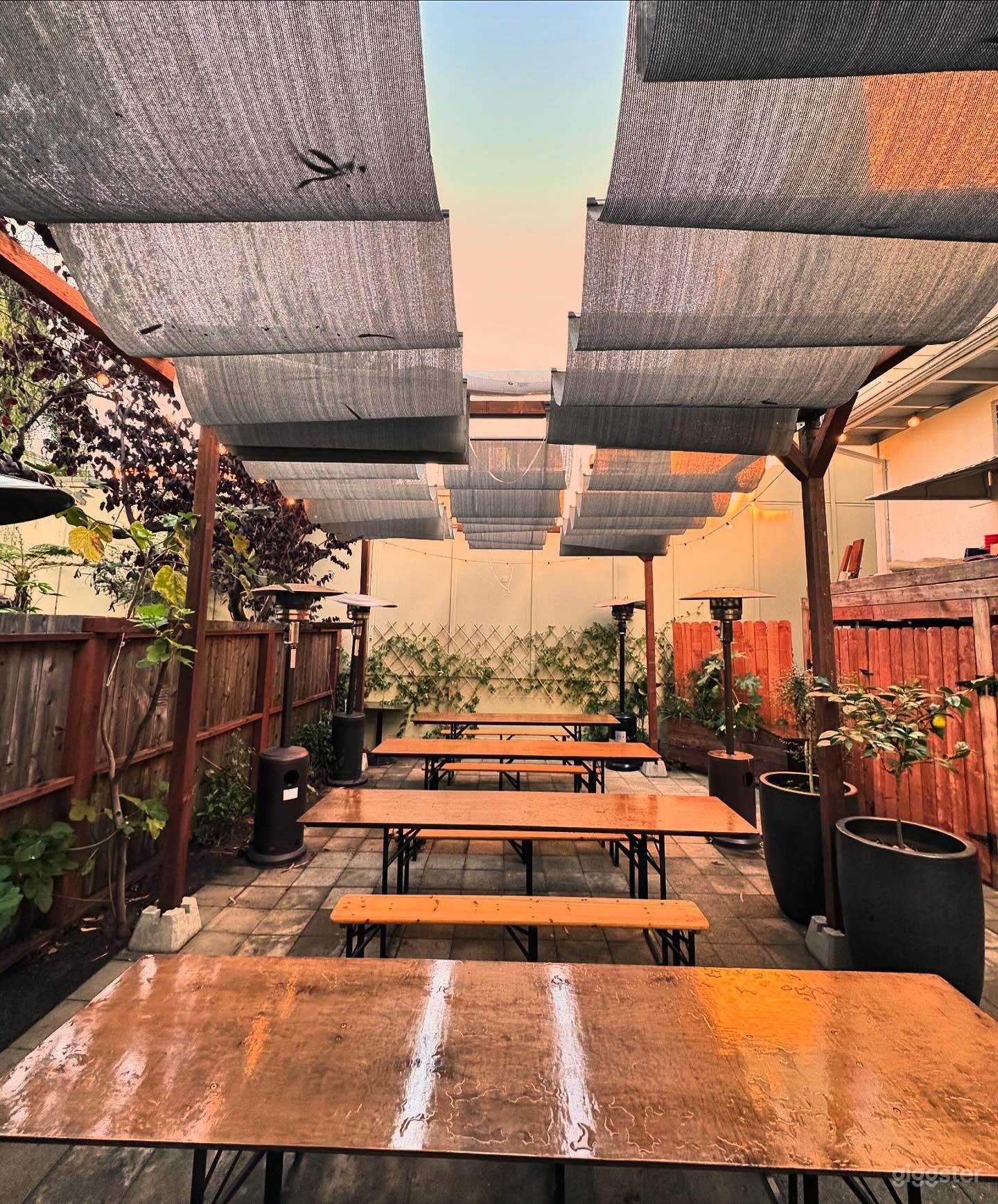 Enchanting Wine Garden Photo 1