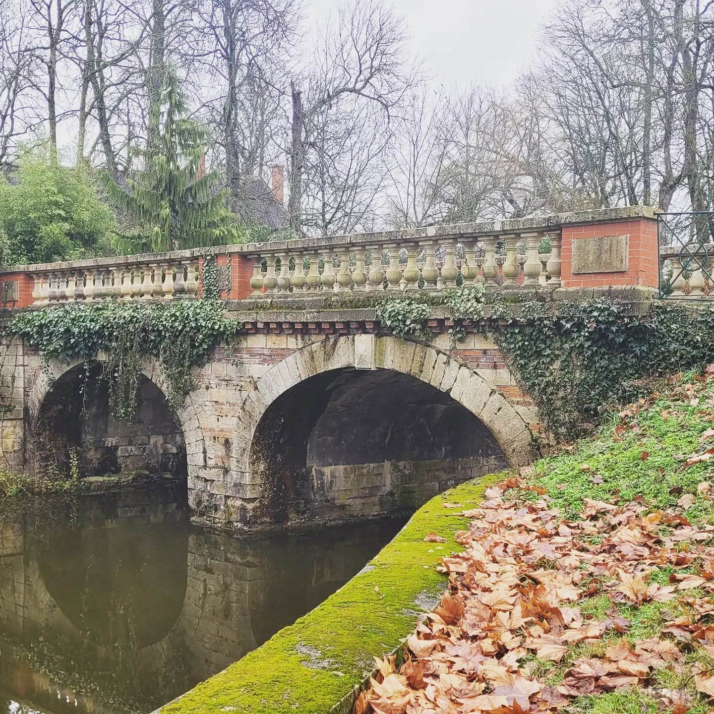 Photo de Parc du Château 3