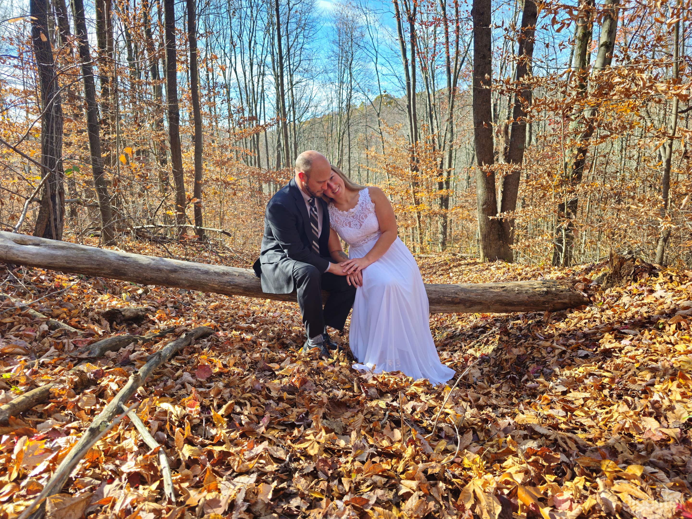 Hocking Hills Immersive Outdoor Nature Retreat Photo 4