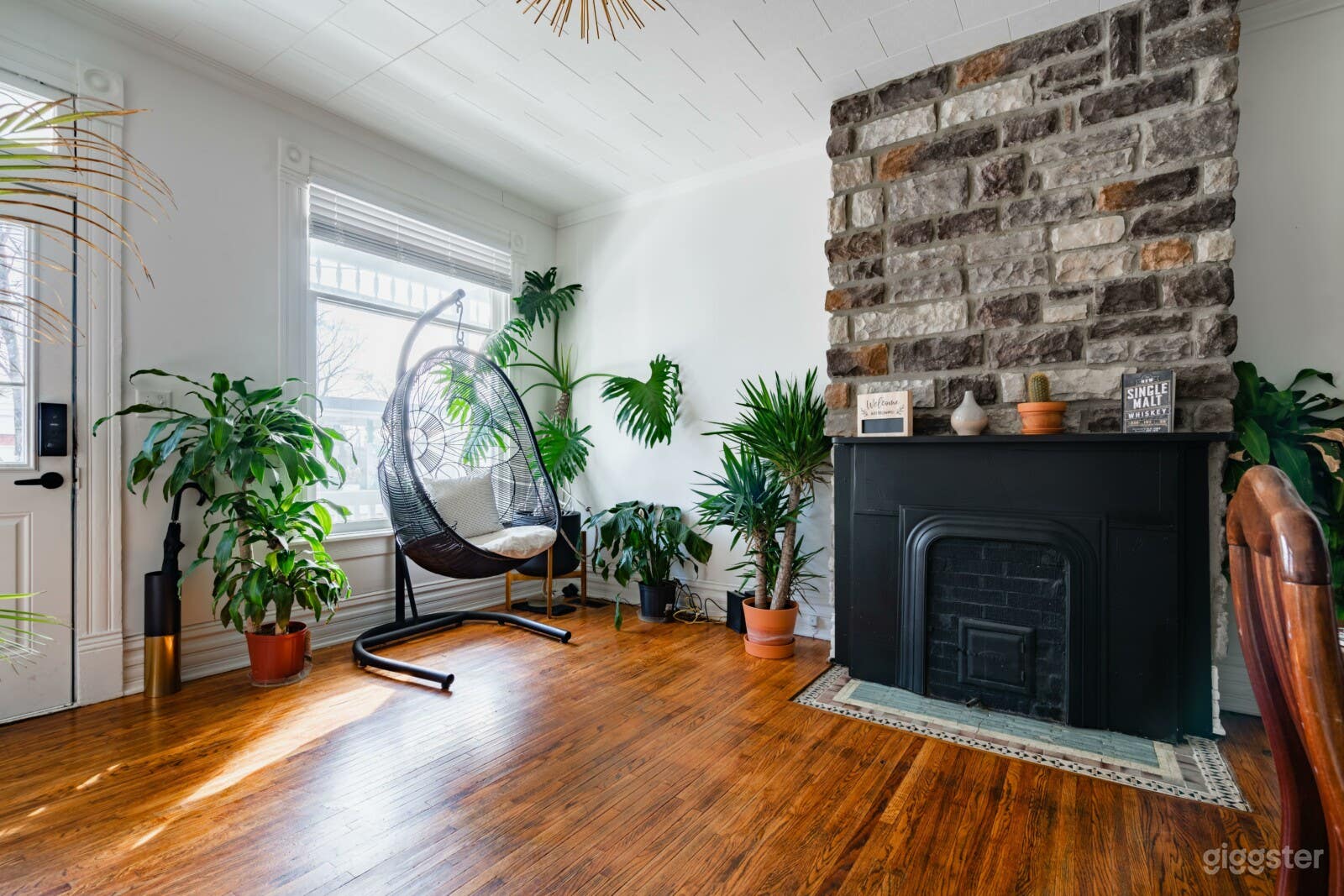 The Jungle House, CONVENTION DOWNTOWN HOME SHORT NORTH Photo 3