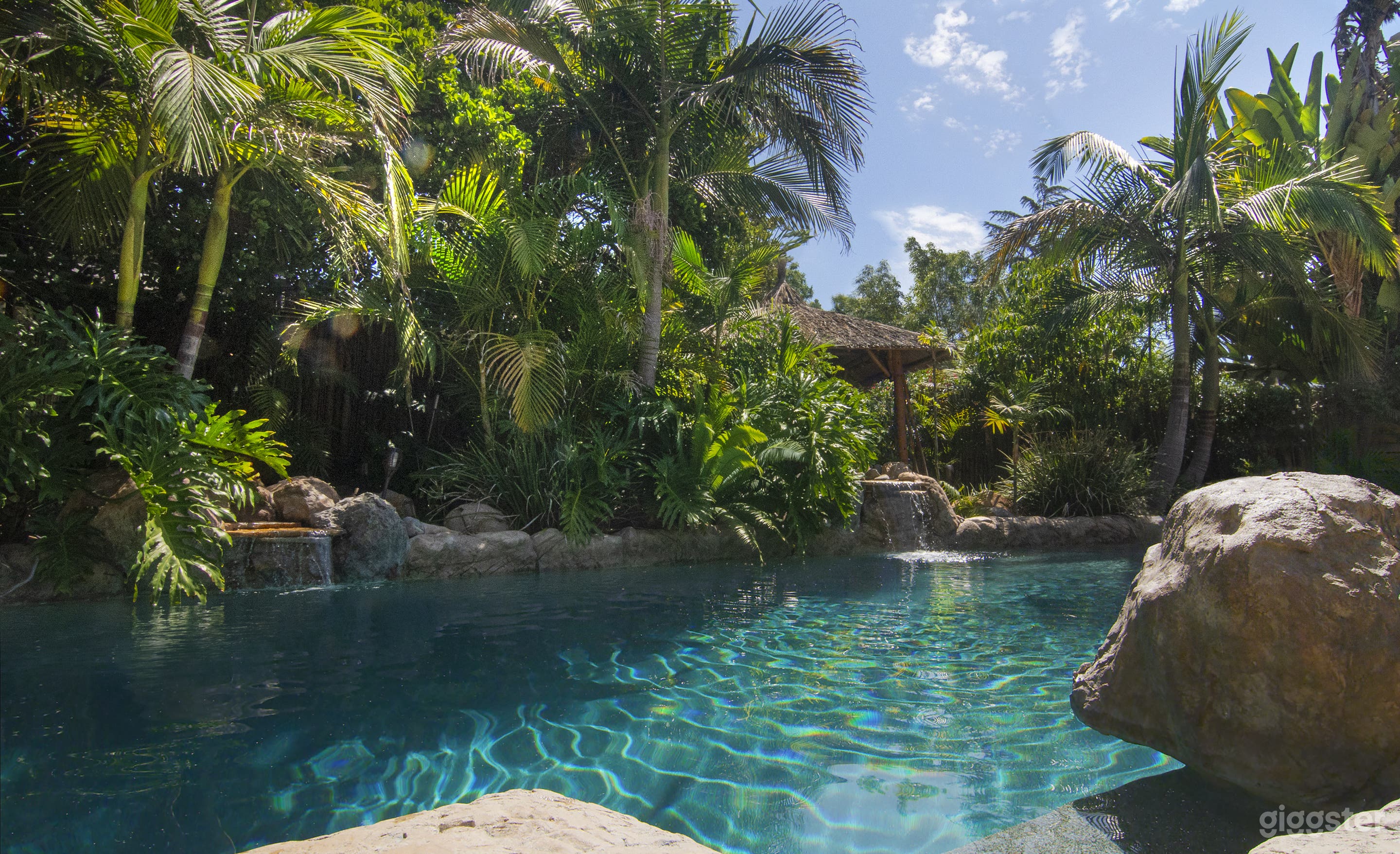 Lush Exotic Tropical Themed Outdoor Space Photo 1