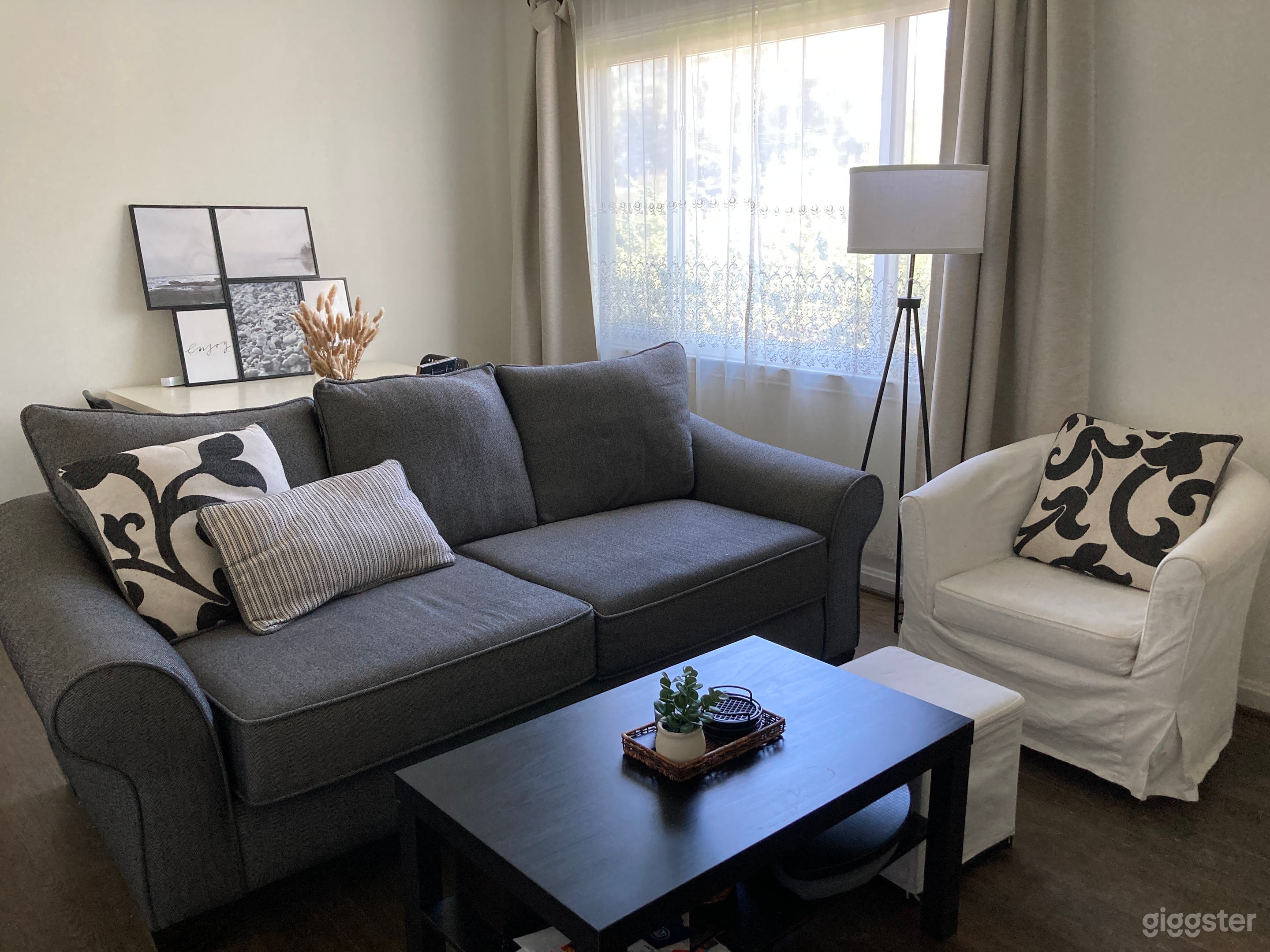Bright Modern Living Room with Neutral Designer Aesthetic Photo 3
