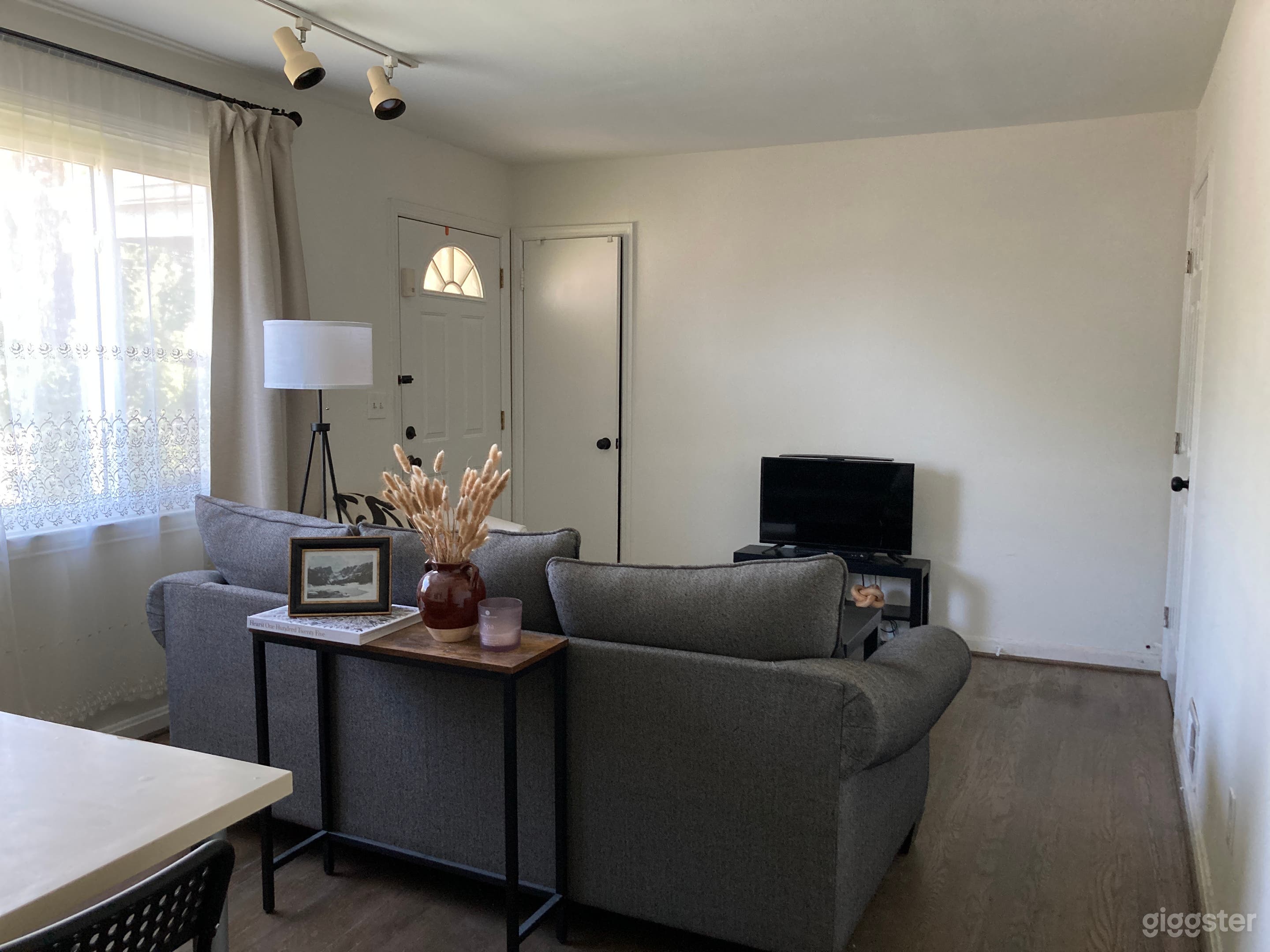 Bright Modern Living Room with Neutral Designer Aesthetic Photo 2
