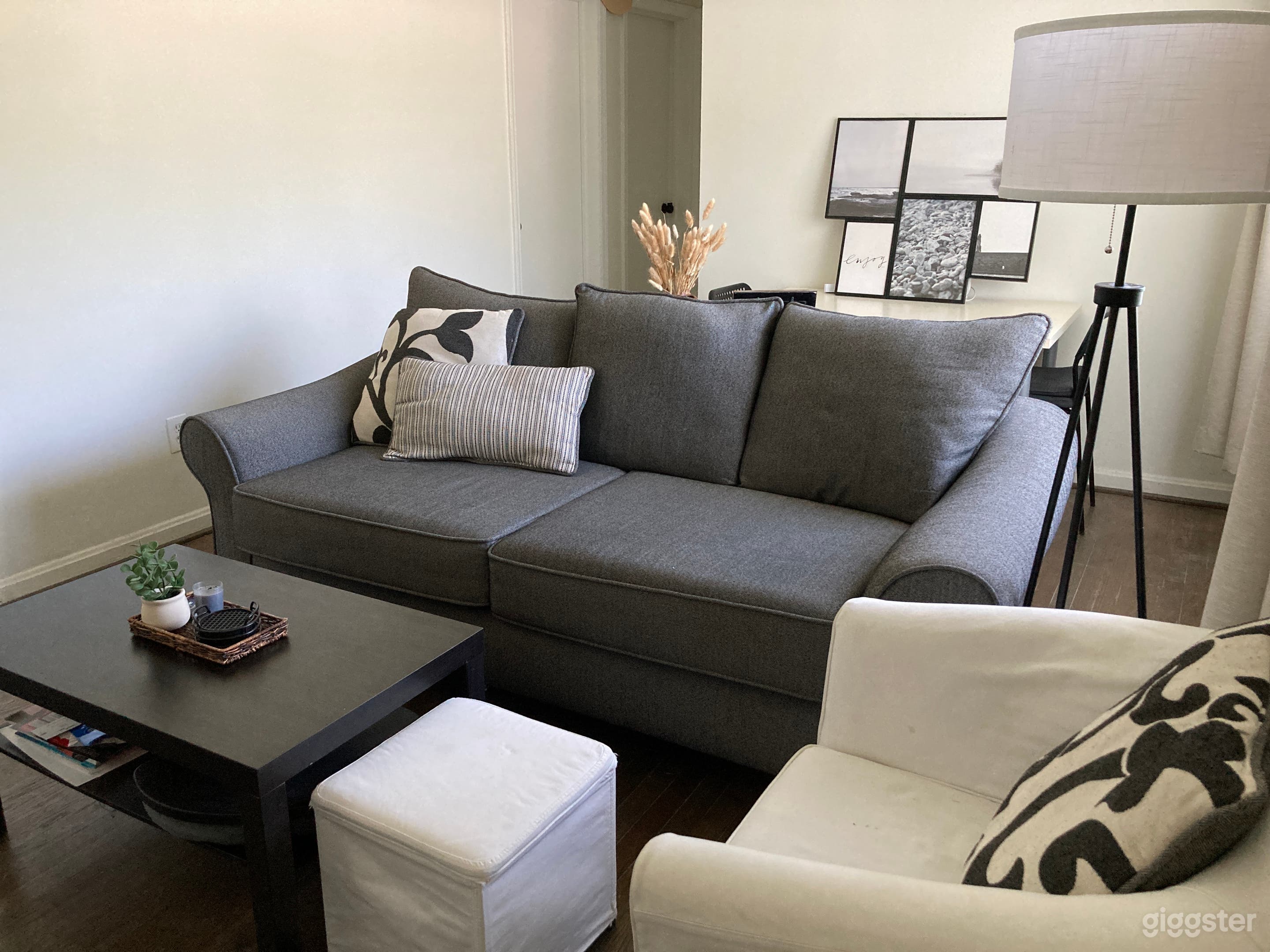 Bright Modern Living Room with Neutral Designer Aesthetic Photo 1