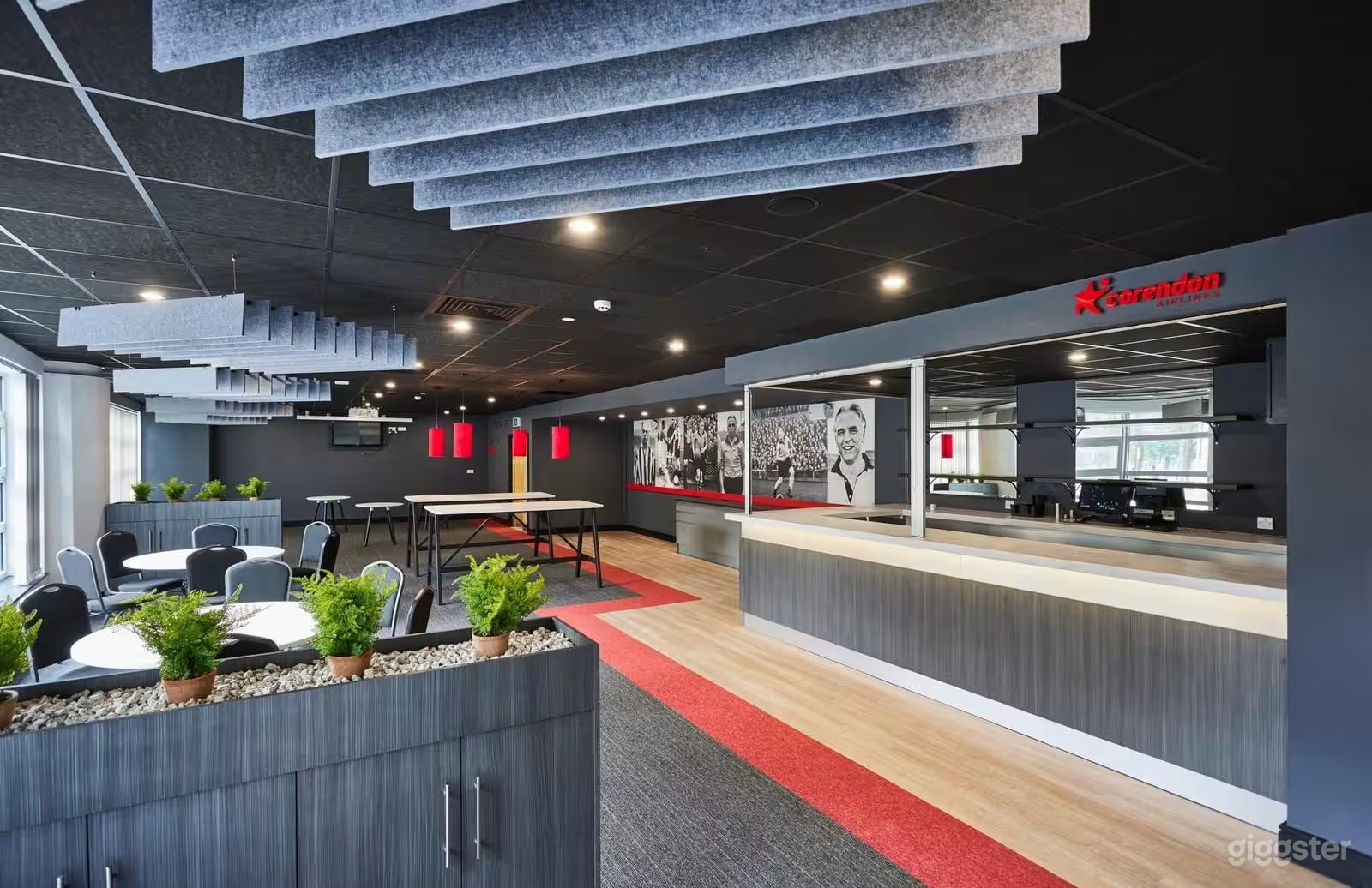 The Raich Carter Suite Photo 1