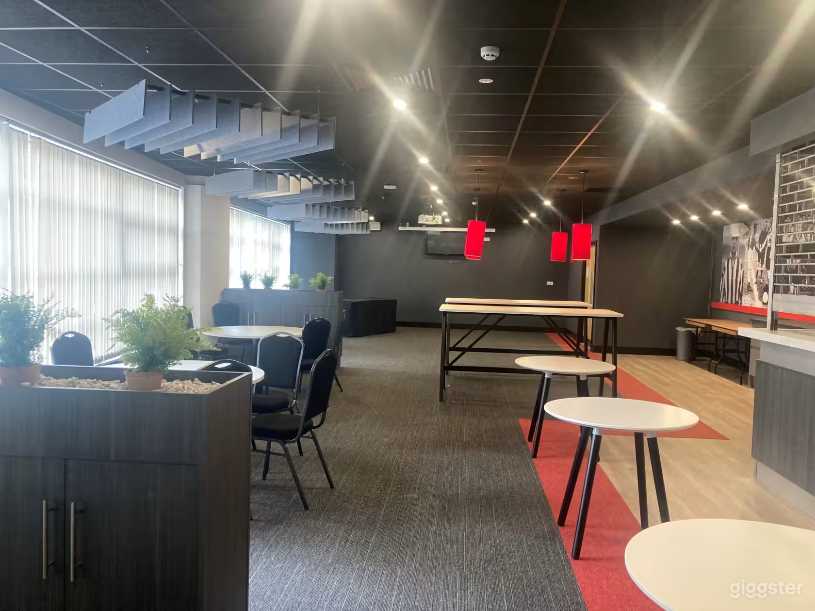 The Raich Carter Suite Photo 4