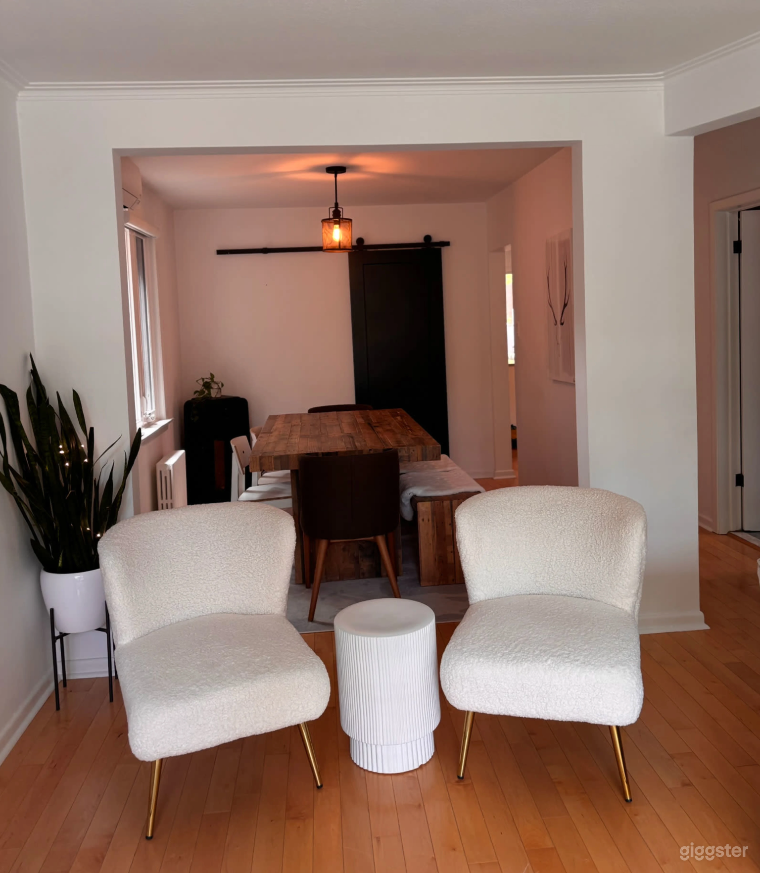 Modern High Park House with Clean, Minimalist Design Photo 3