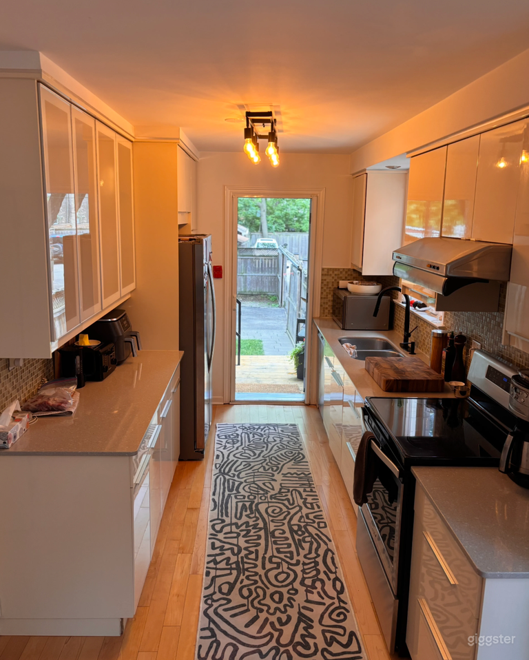  Modern High Park House with Clean, Minimalist Design 