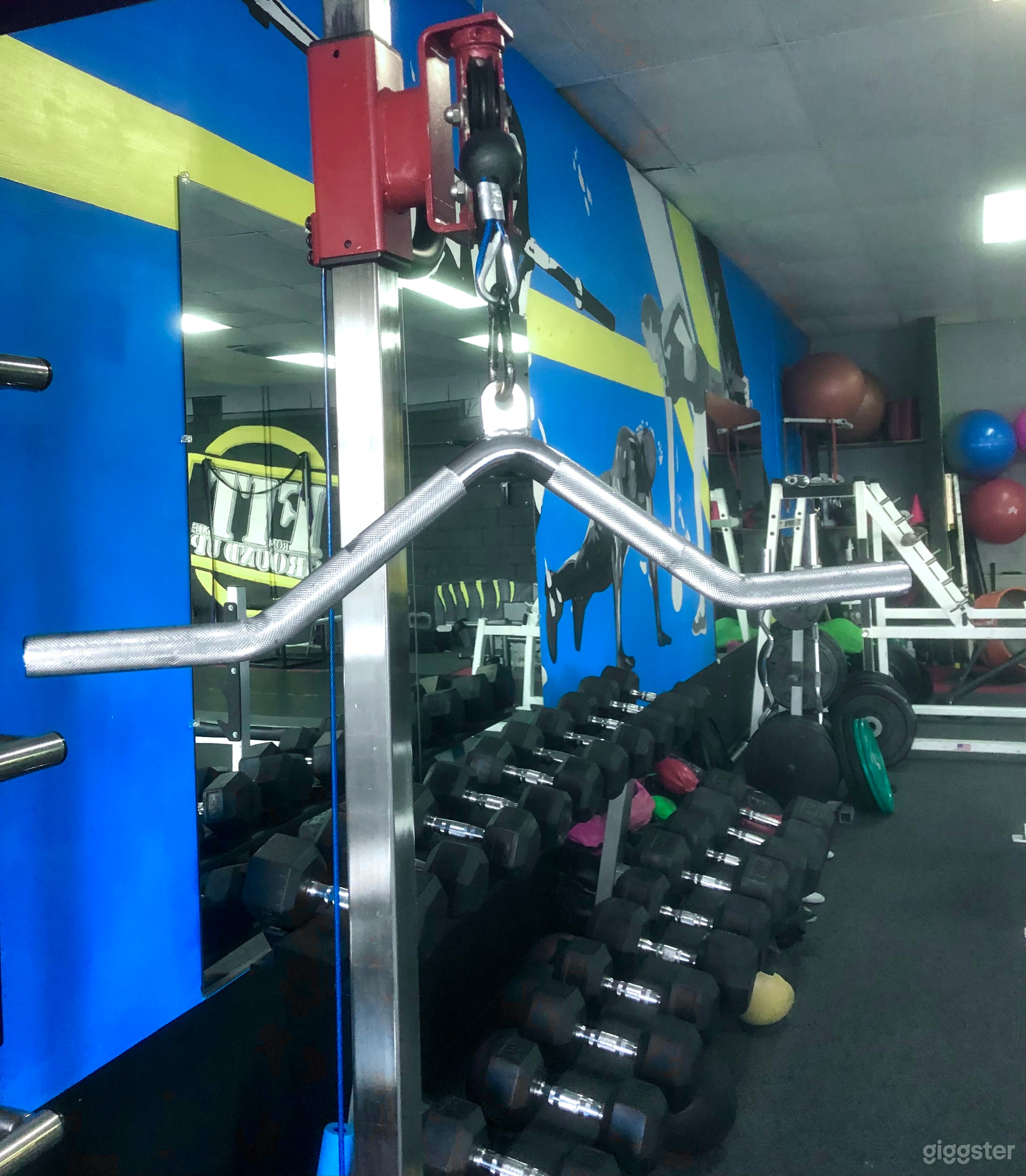 Fitness Studio/ Spacious/ Fully Equipped Gym in LA Photo 4