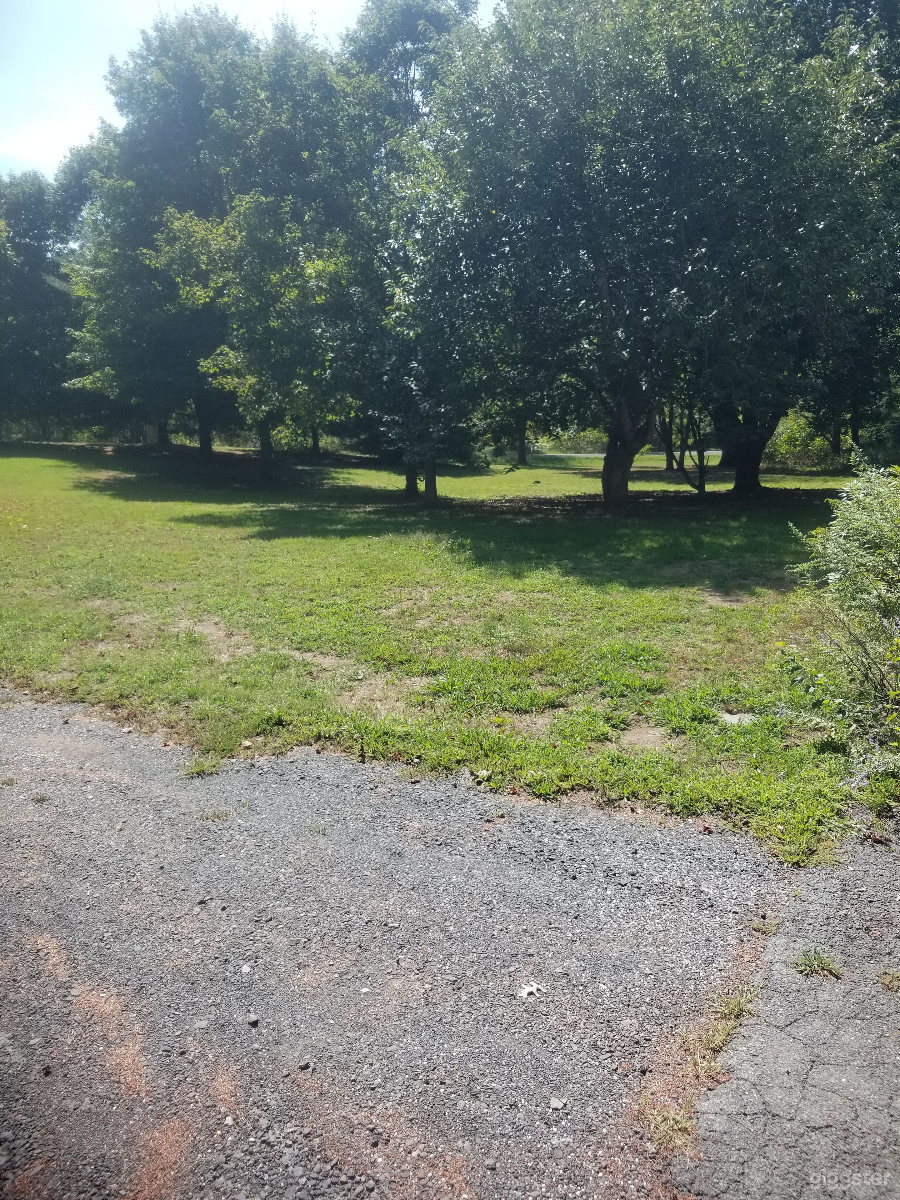 Large Outdoor Space in Wallkill Photo 3