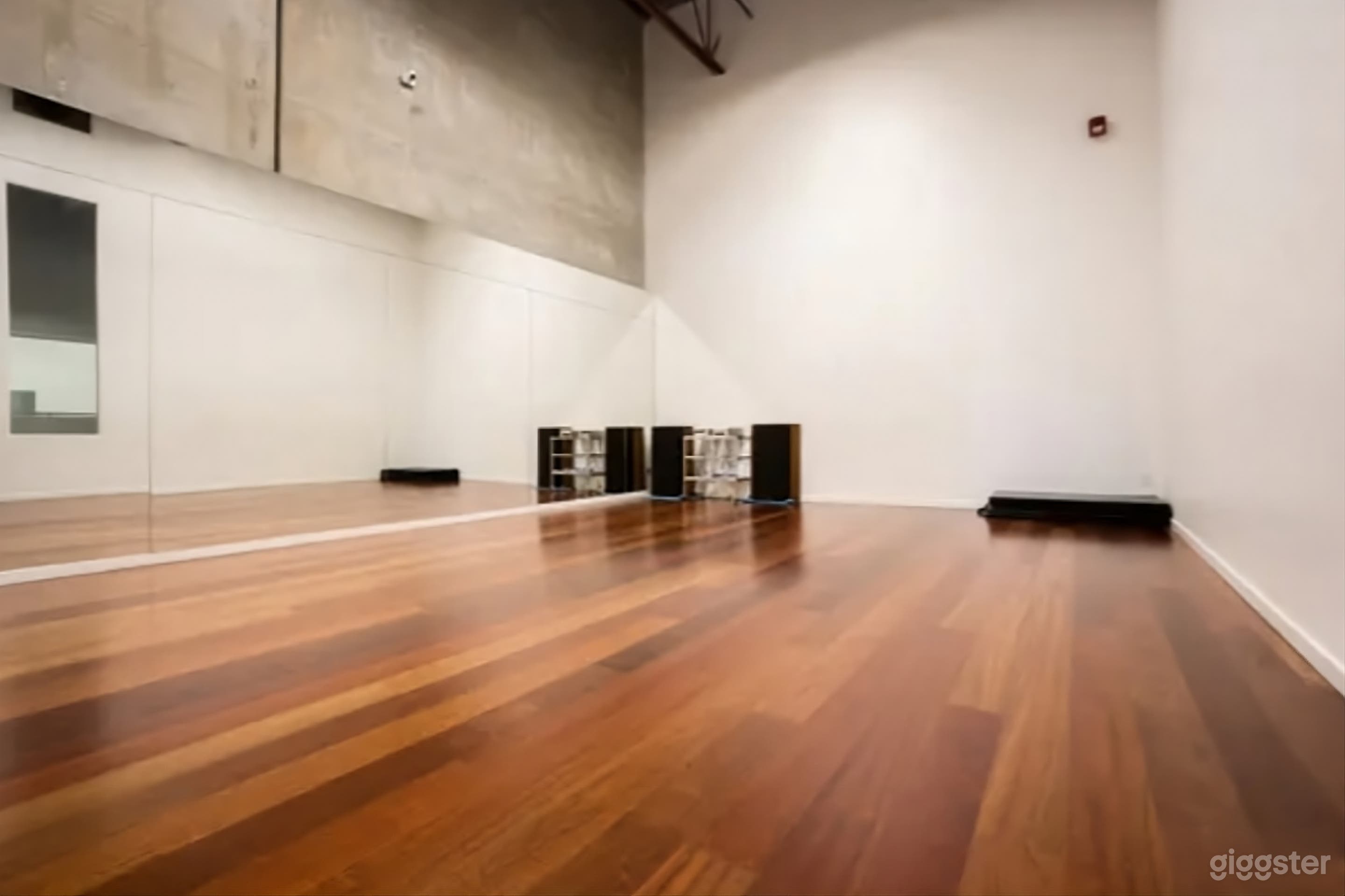 Dance Academy And Training Studio for Buyout Entire Space Photo 3