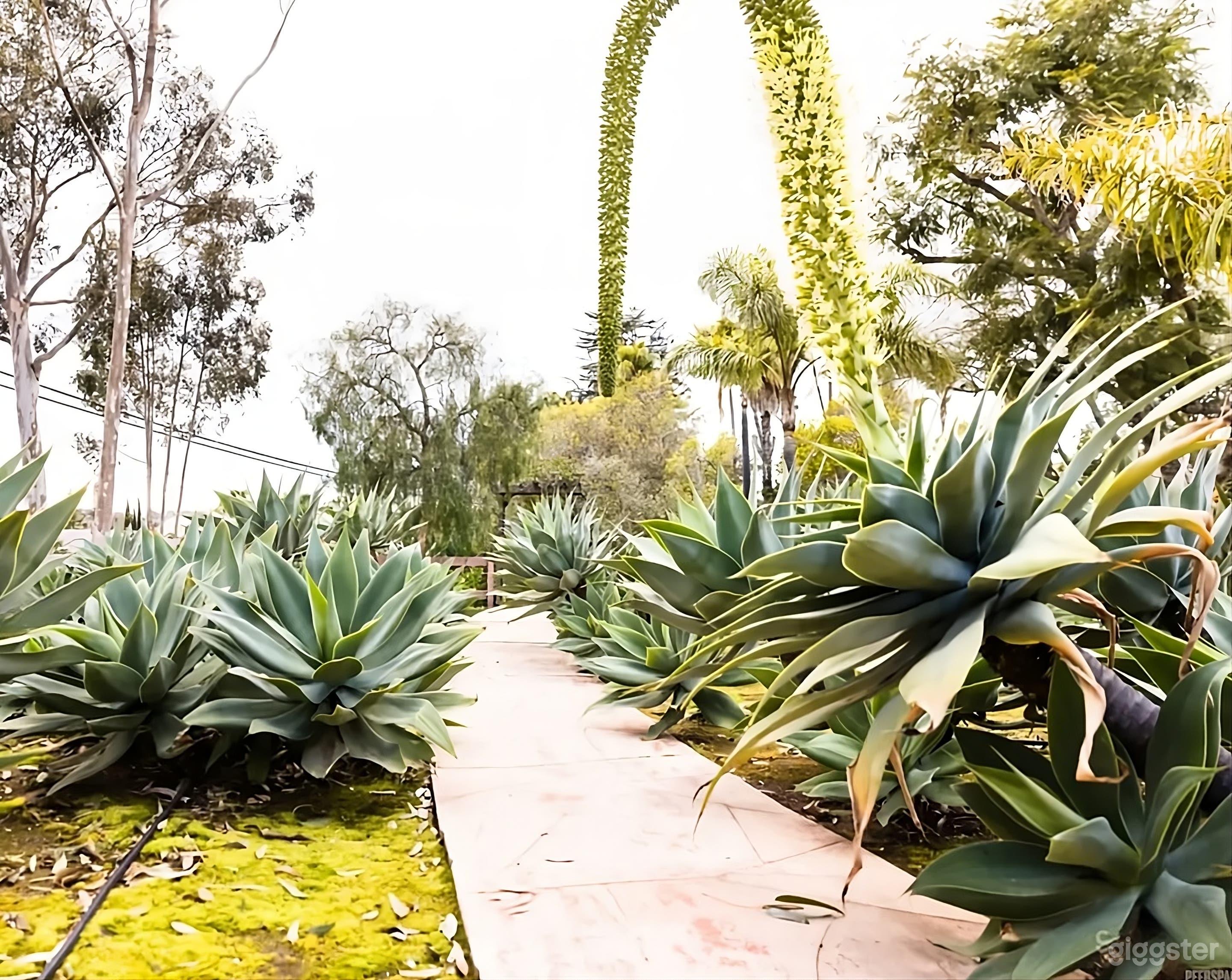 Sunlit Garden Retreat Backyard Photo 3