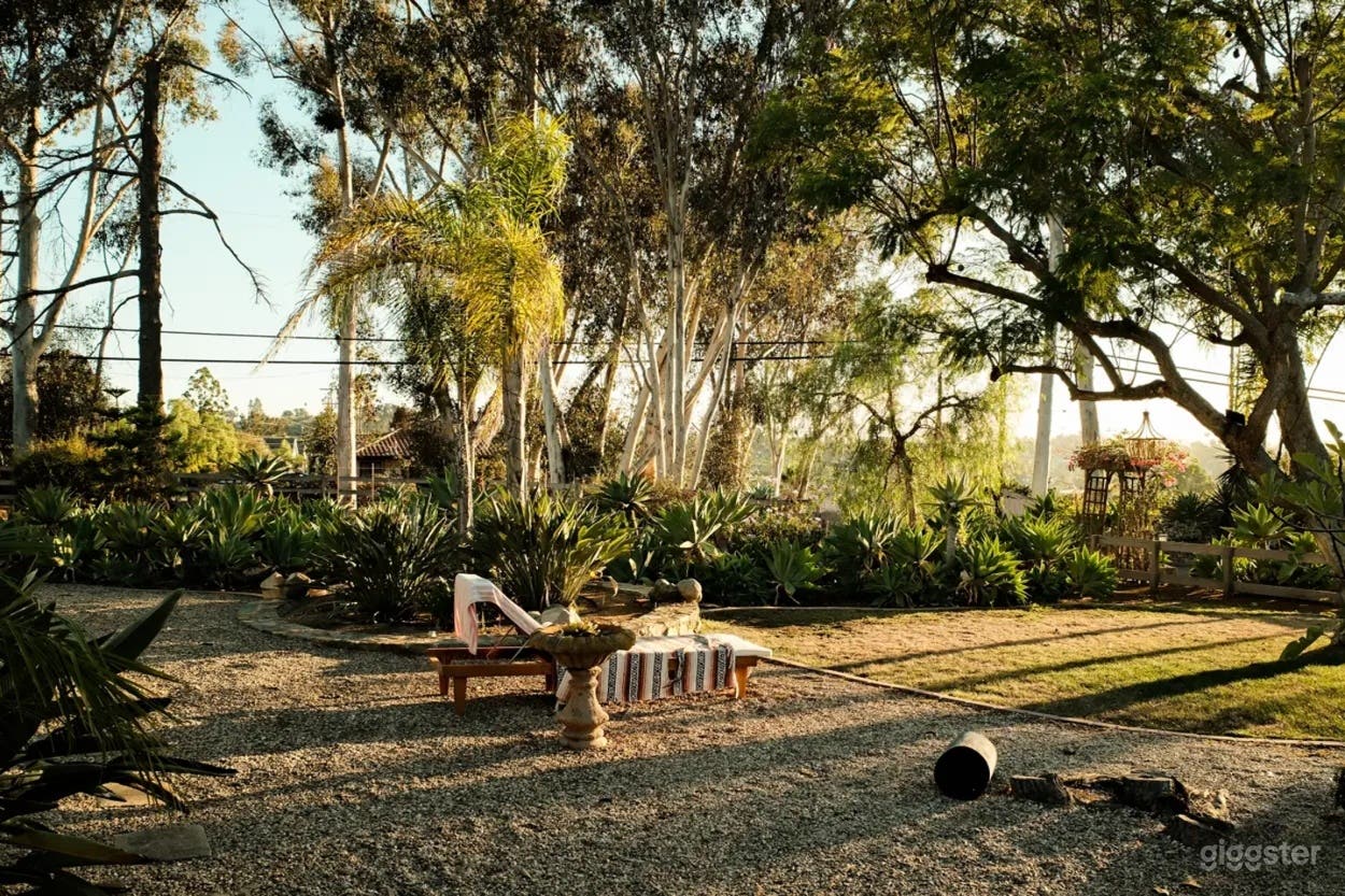 Sunlit Garden Retreat Backyard Photo 1