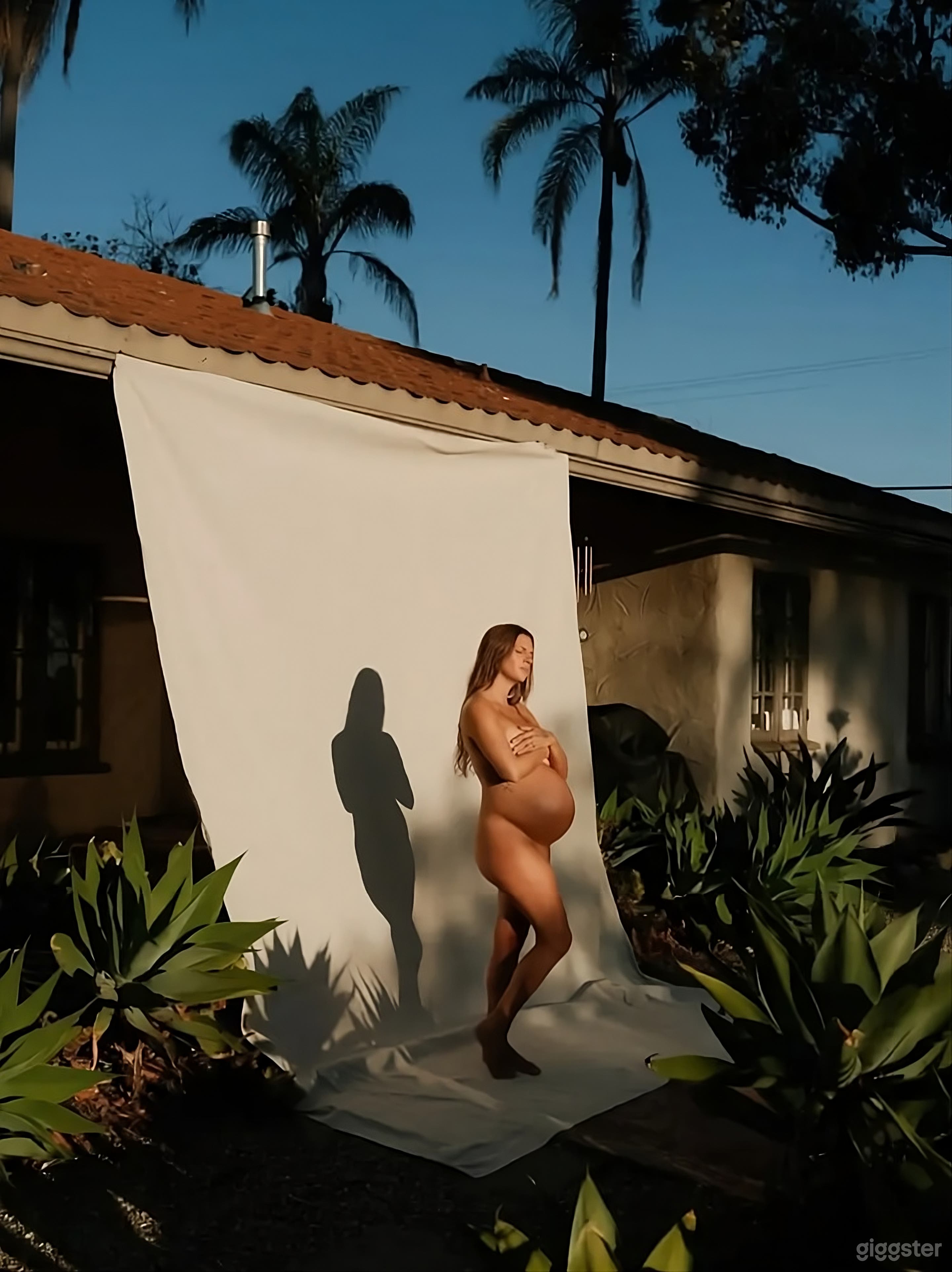 Sunlit Garden Retreat Backyard Photo 4