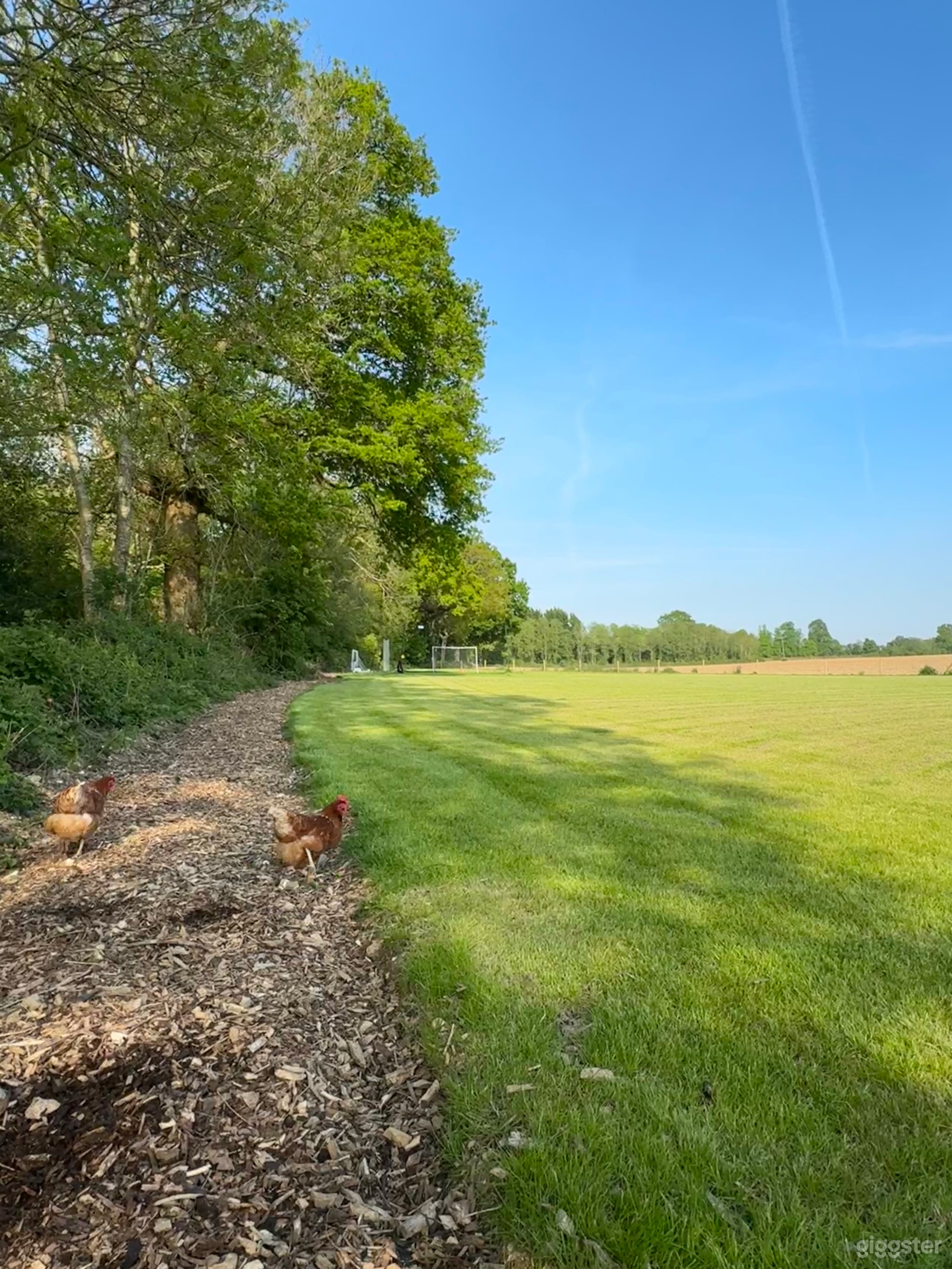 Beautiful 1 Acre Filed Photo 2